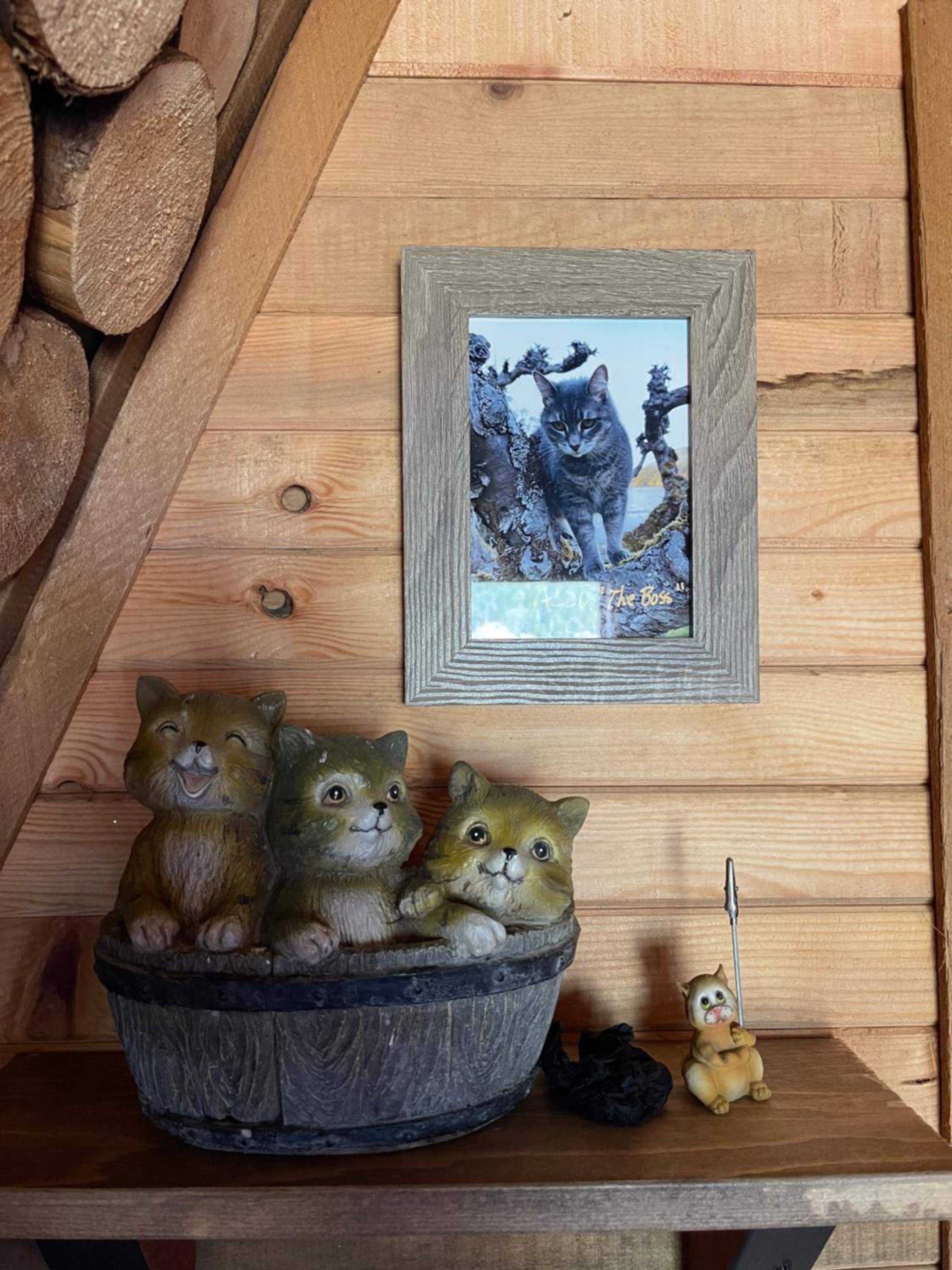 Bratty Catty Cabin