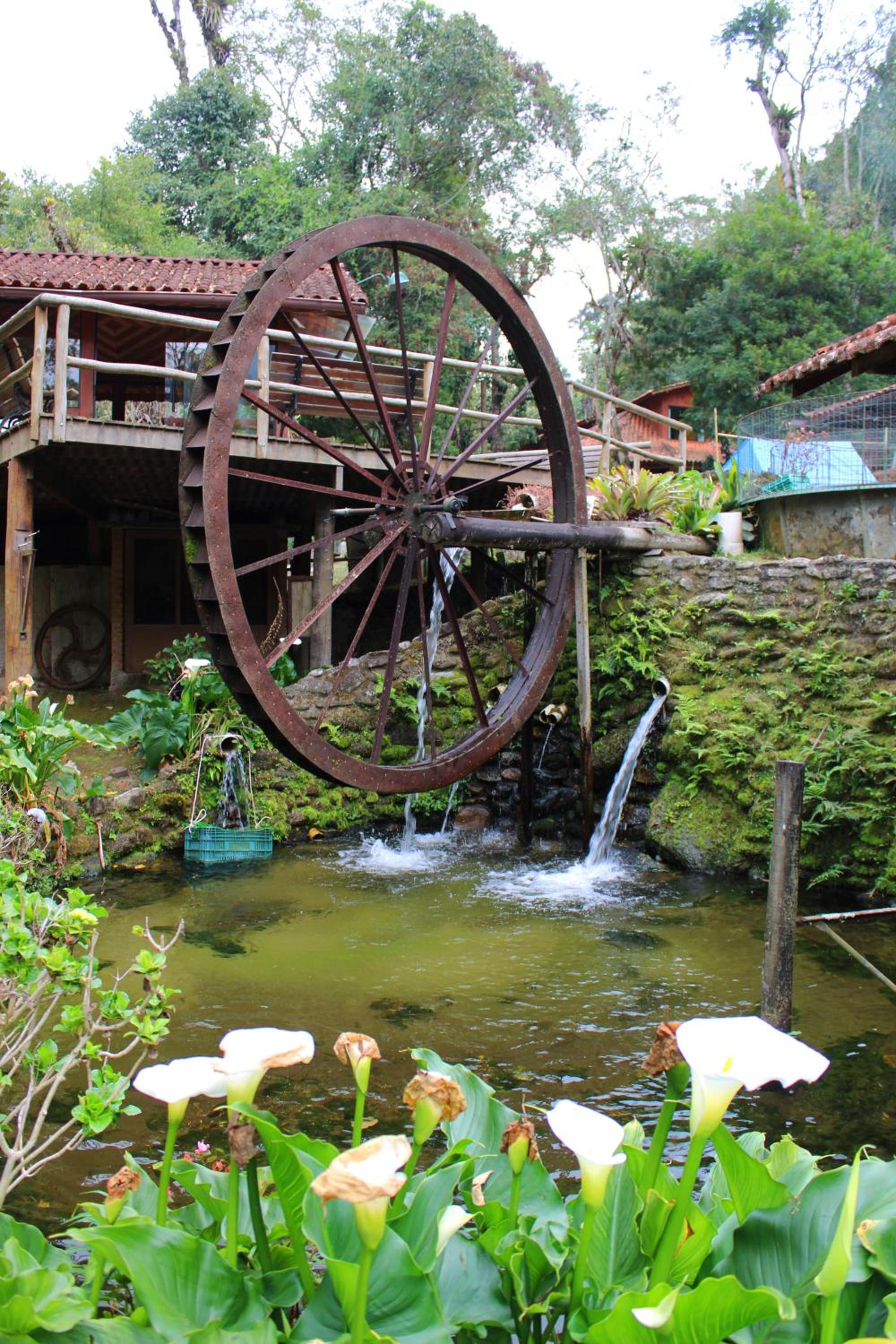 Chalés Truta Da Floresta
