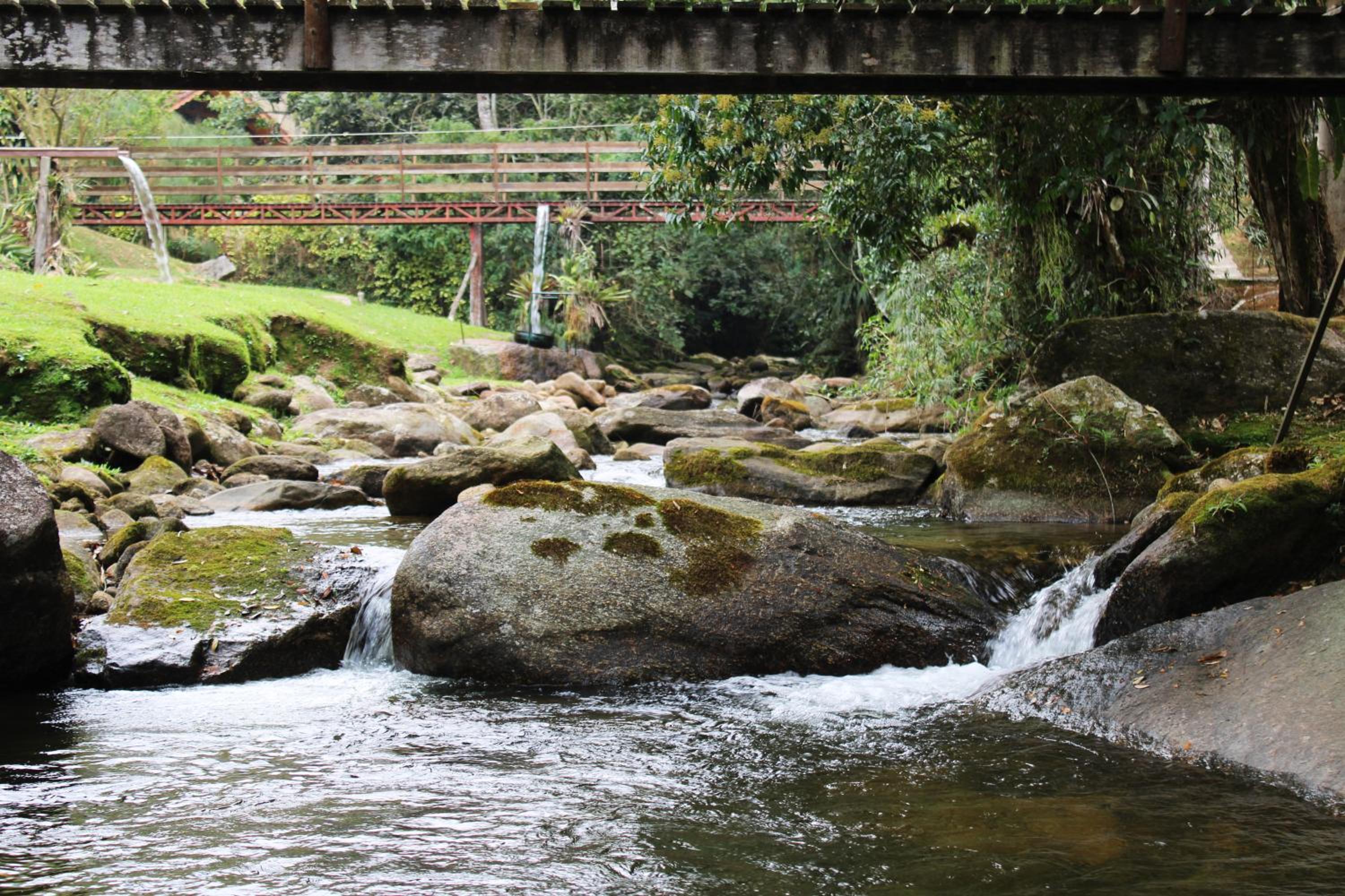 Chalés Truta Da Floresta