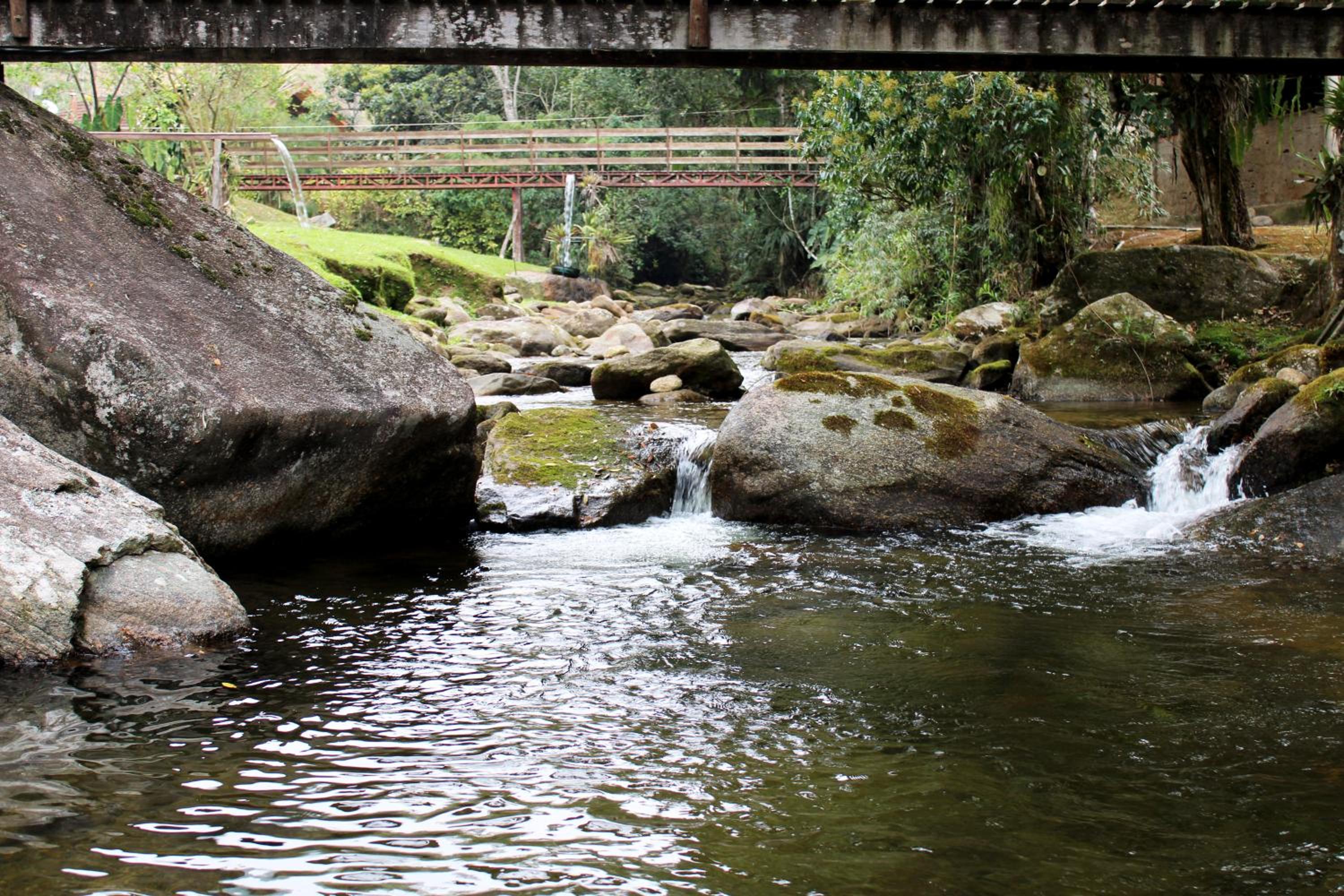 Chalés Truta Da Floresta