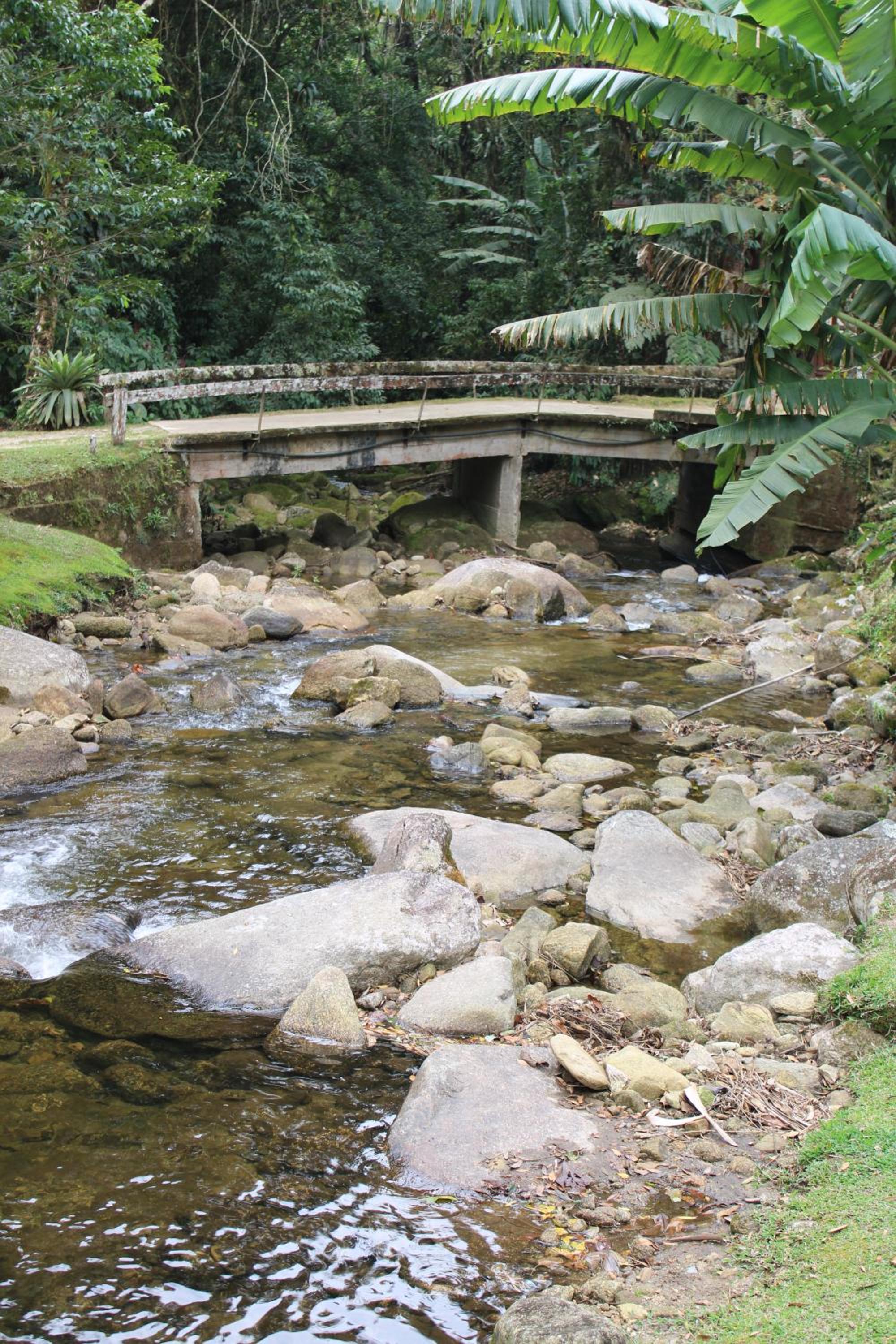 Chalés Truta Da Floresta