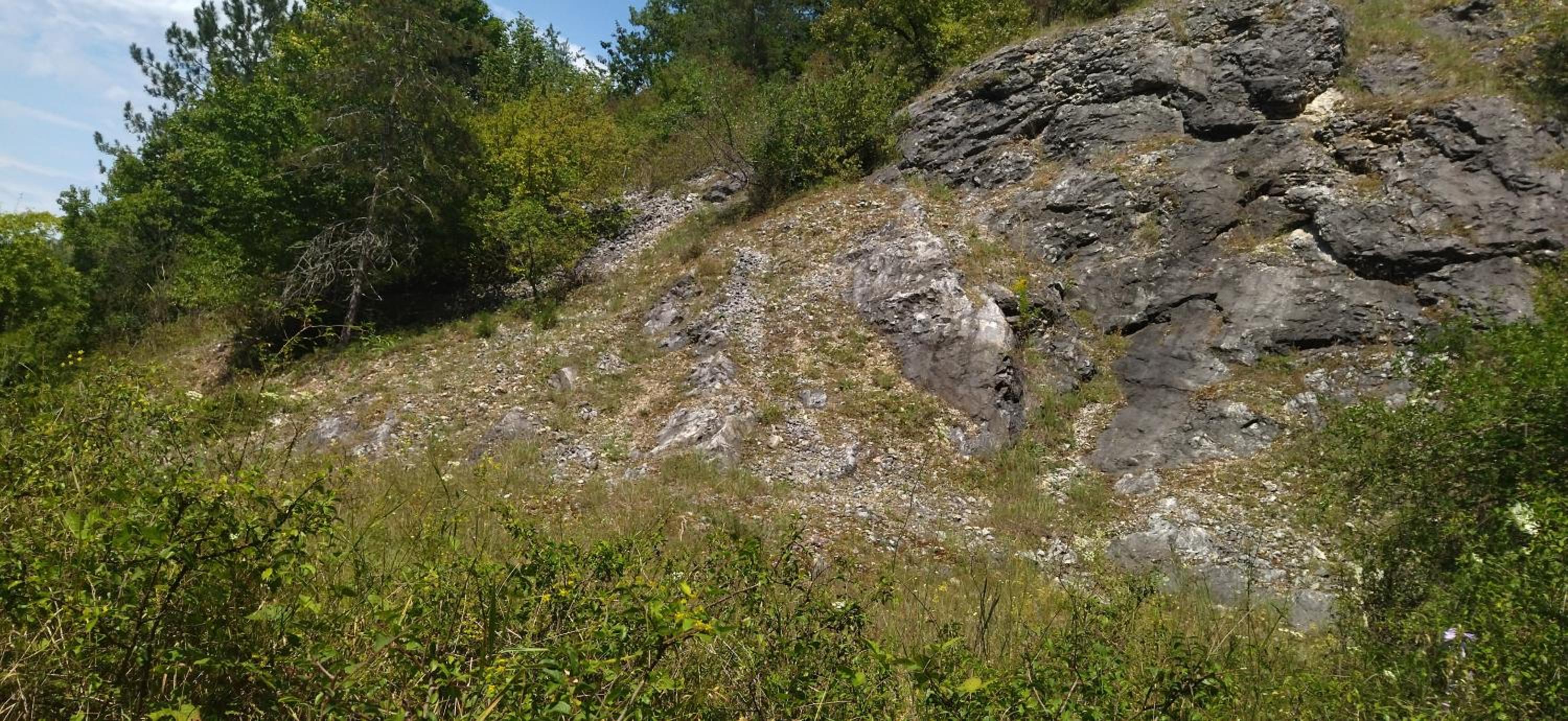 KOÓS VENDÉGHÁZ