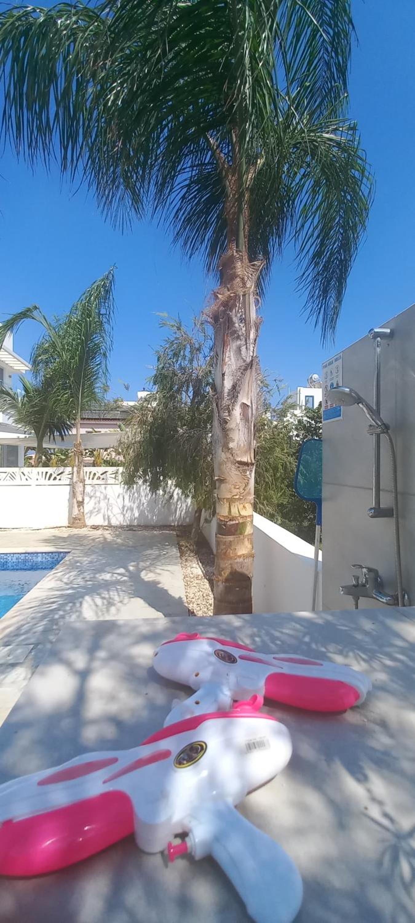 Luxury Villa Milo with Private Pool - Cavo Greco