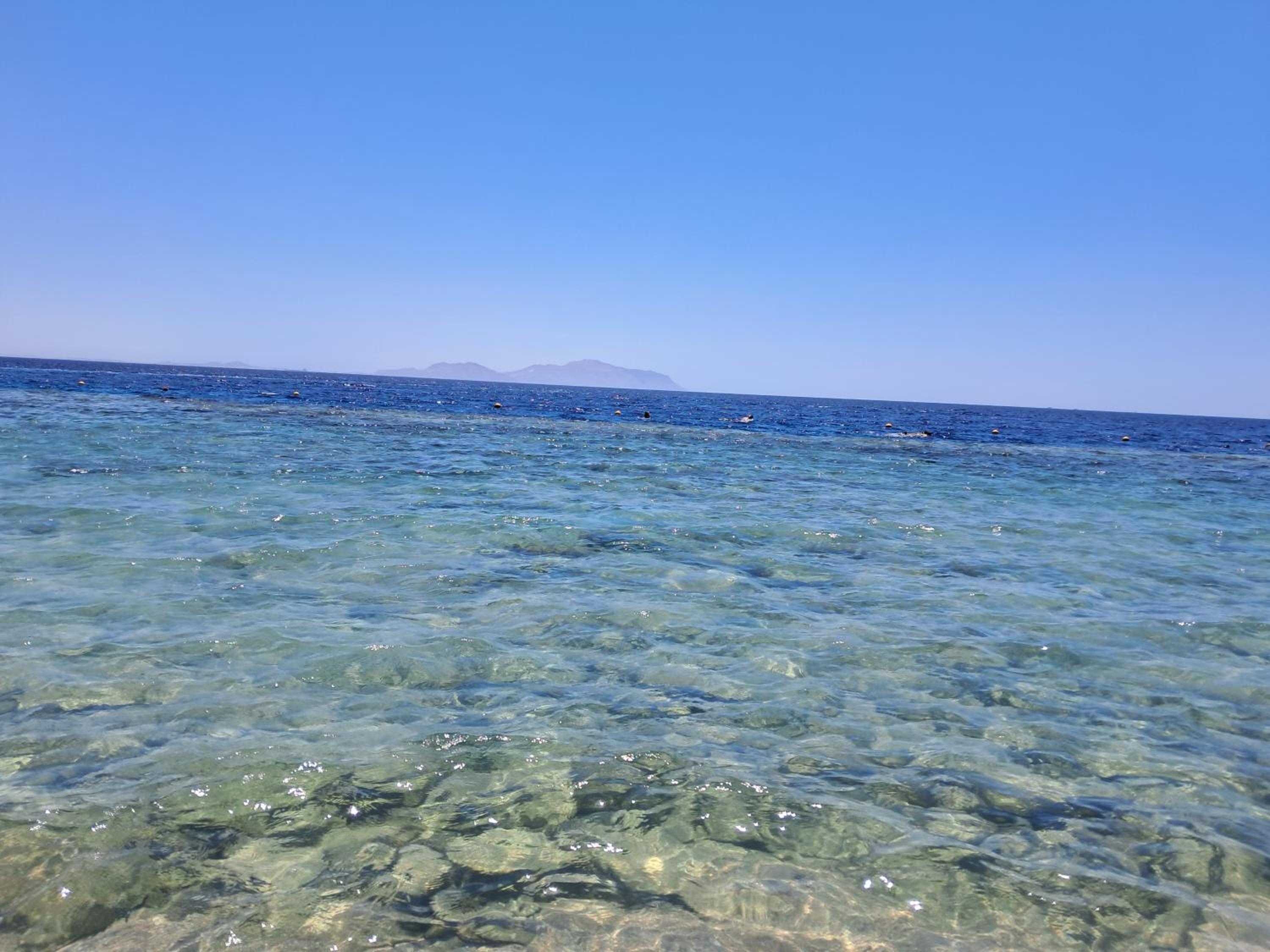Roby acqua marine Coral bay