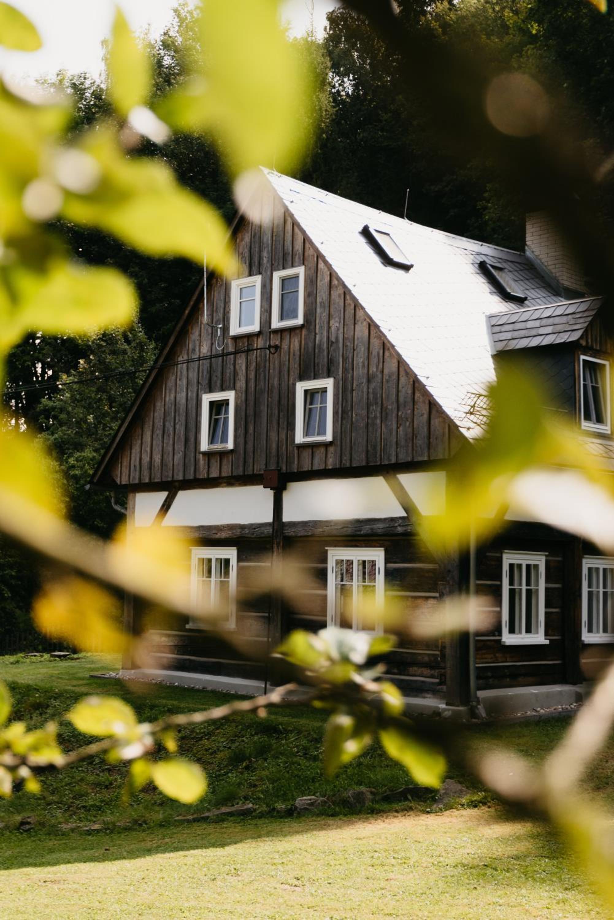 Forest View Cottage