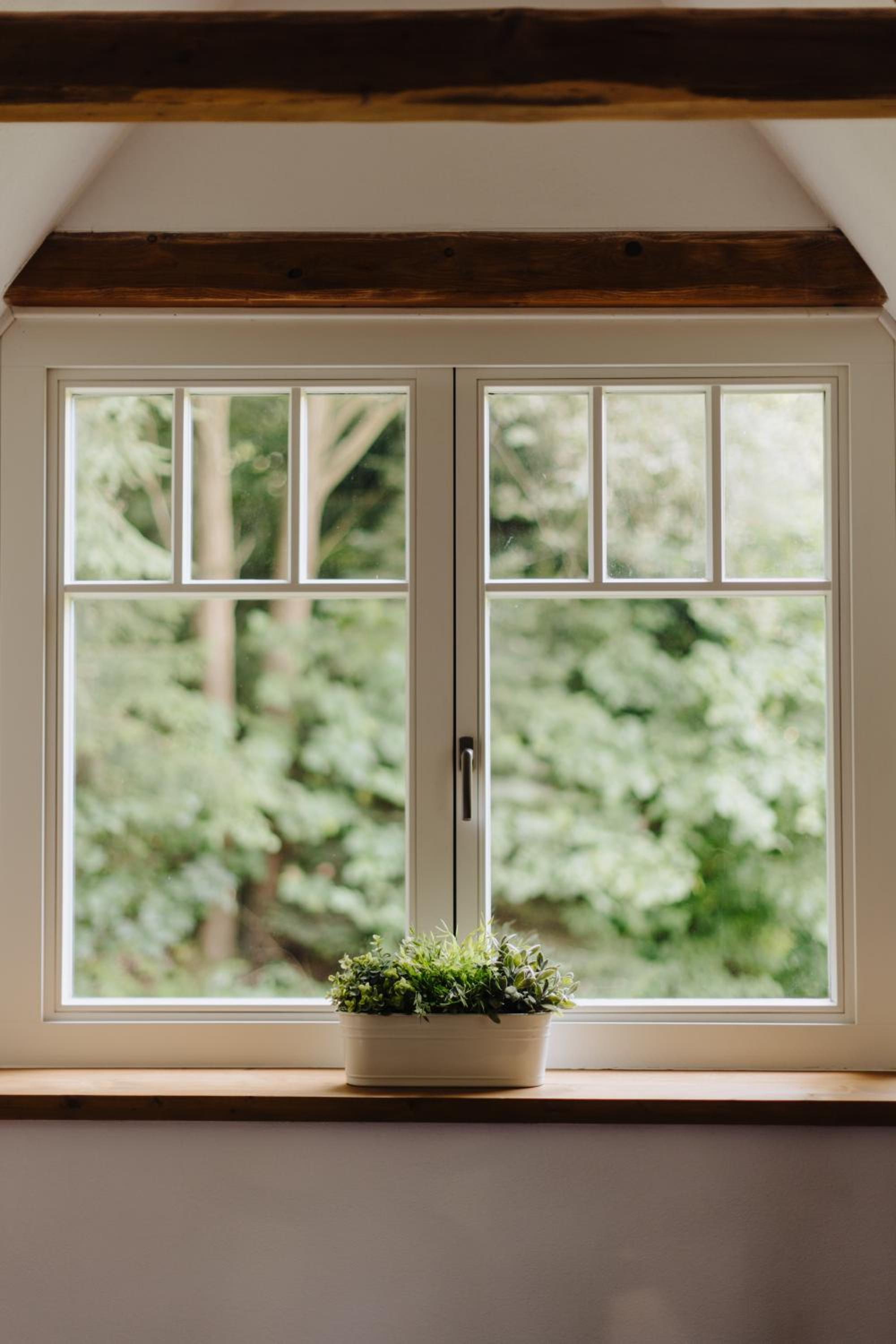 Forest View Cottage