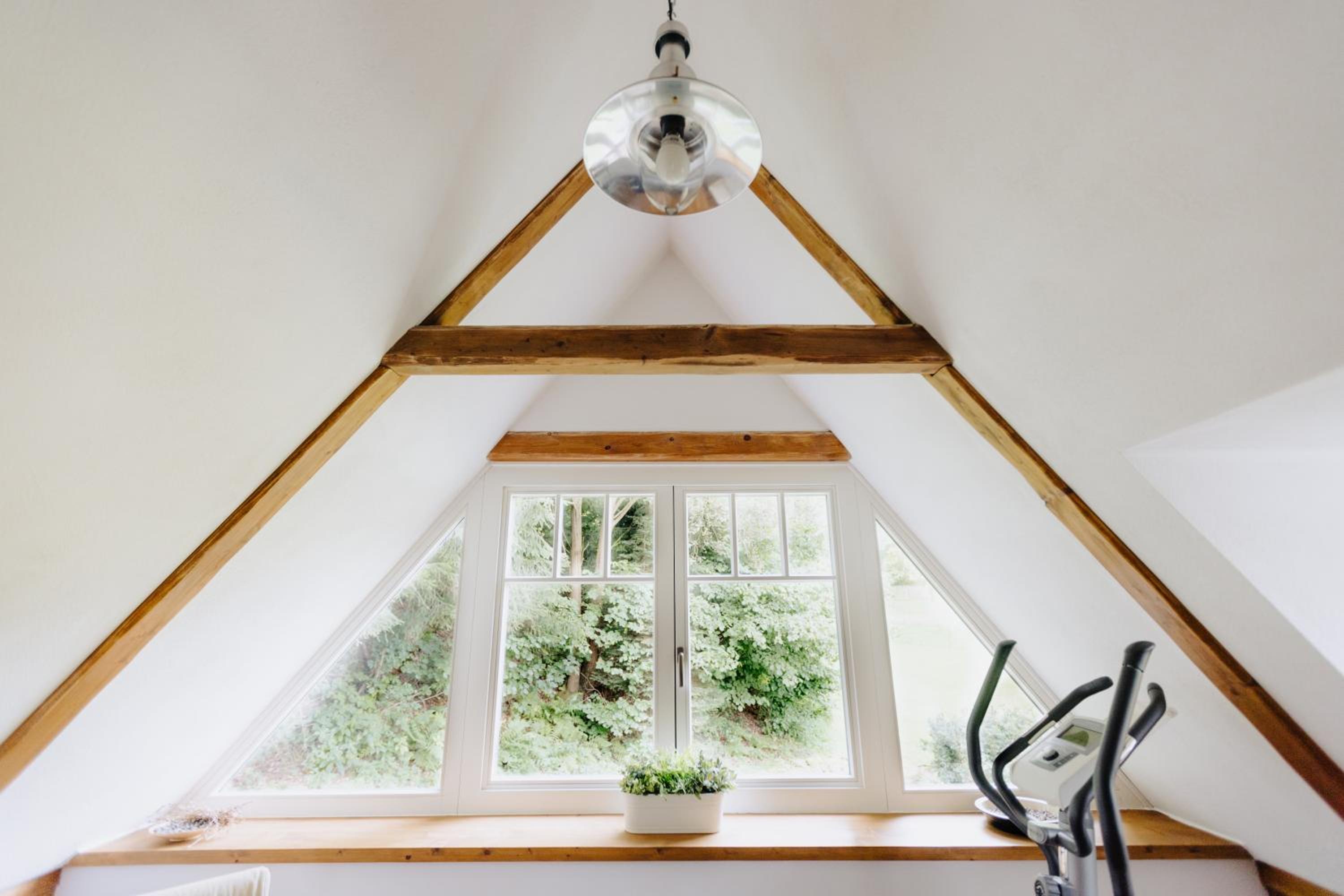 Forest View Cottage