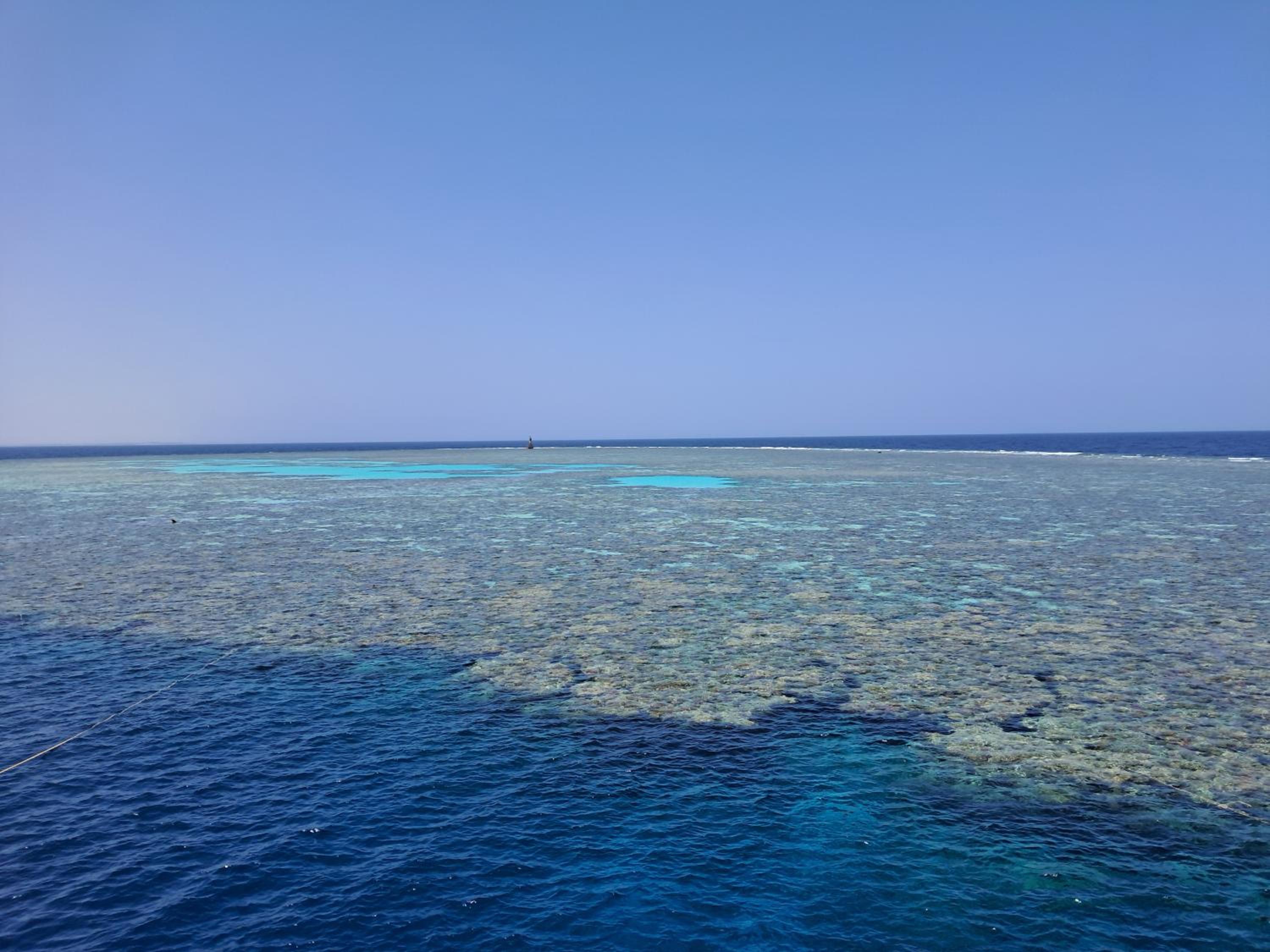 Roby acqua marine Coral bay