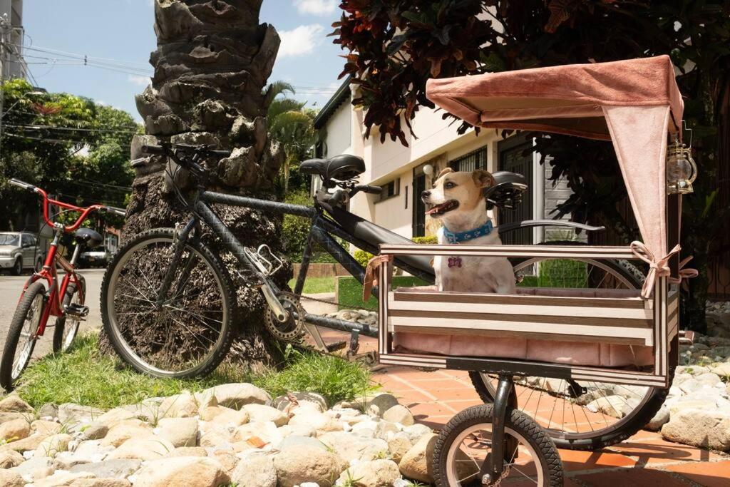 Excepcional Casa Privada para Familias y Grupos - Excelente Ubicación