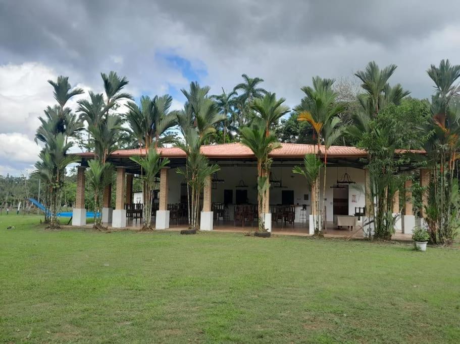 quinta