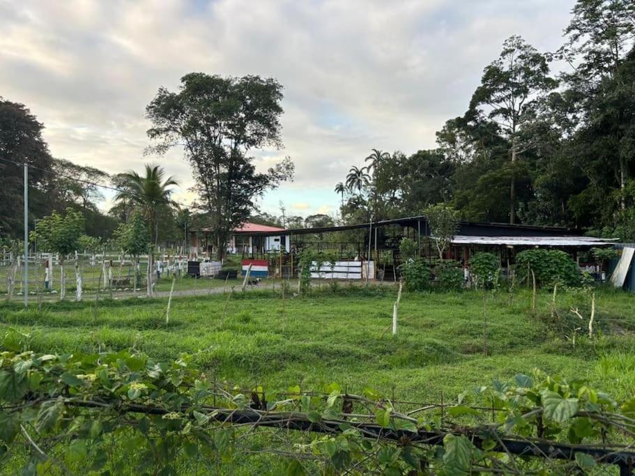 quinta