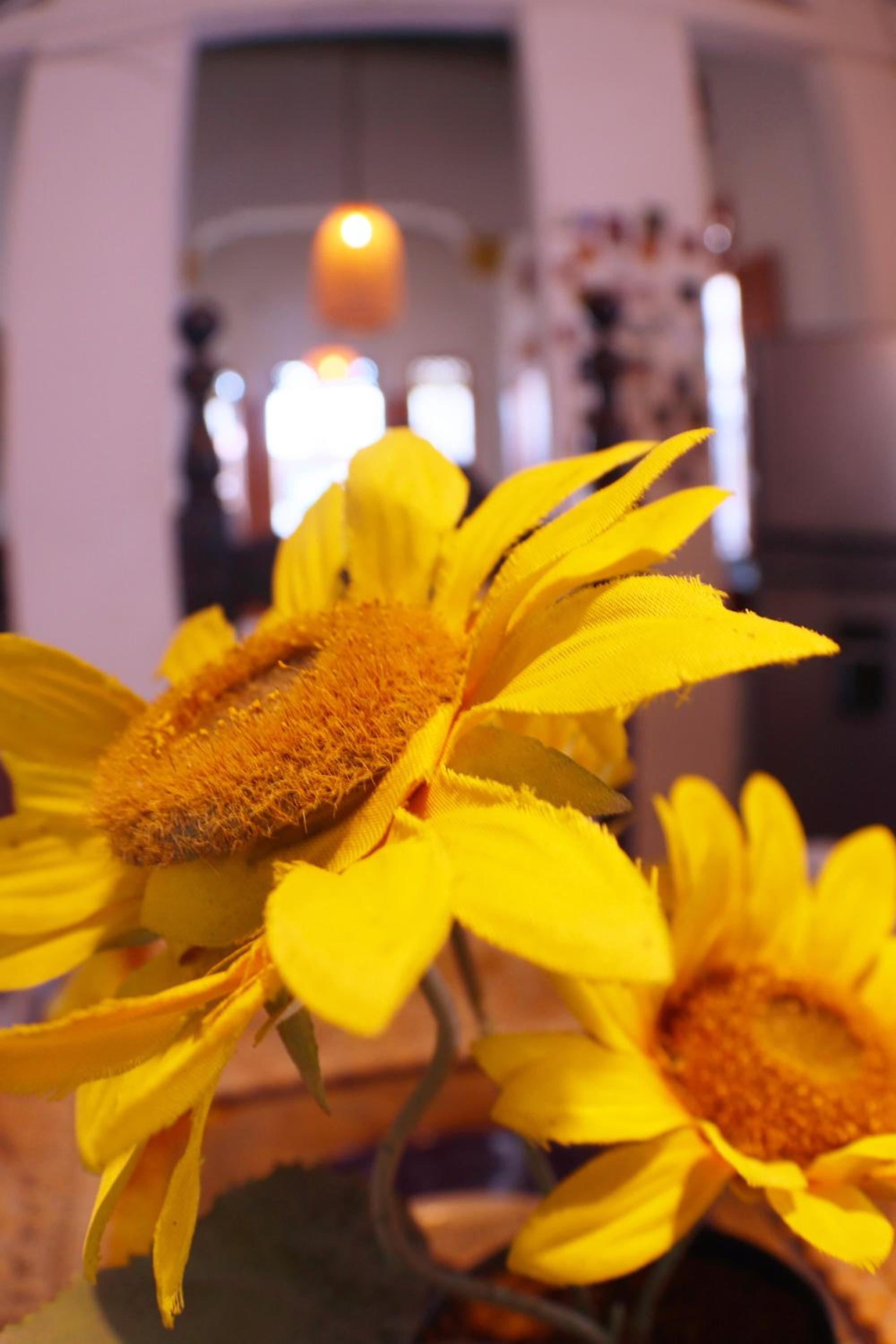 Historic House Santa Marta