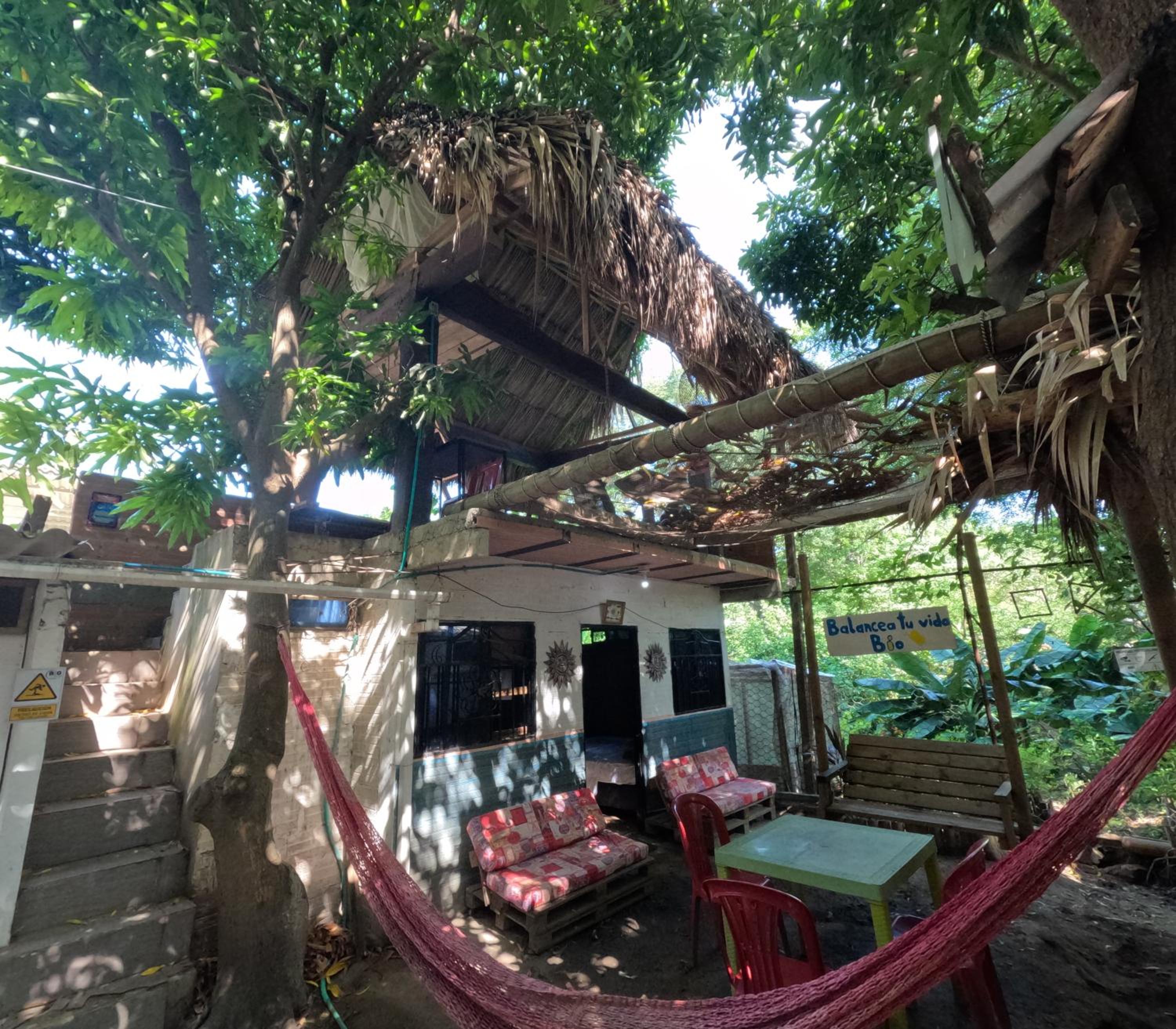 Bio Coliving Tayrona -Espacio para vivir trabajar y descansar en naturaleza