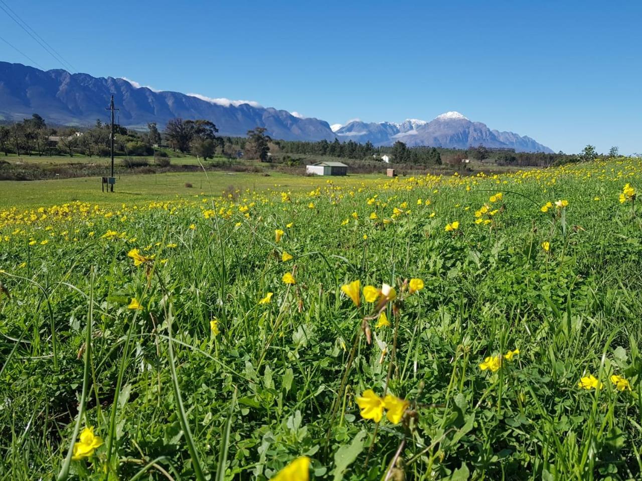 Camp Jakkalsfontein - Entire farm & Campsite view 2