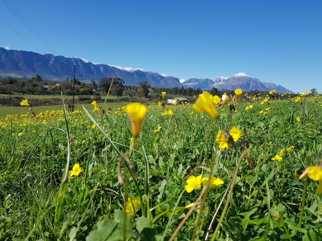 Camp Jakkalsfontein - Entire farm & Campsite view 5
