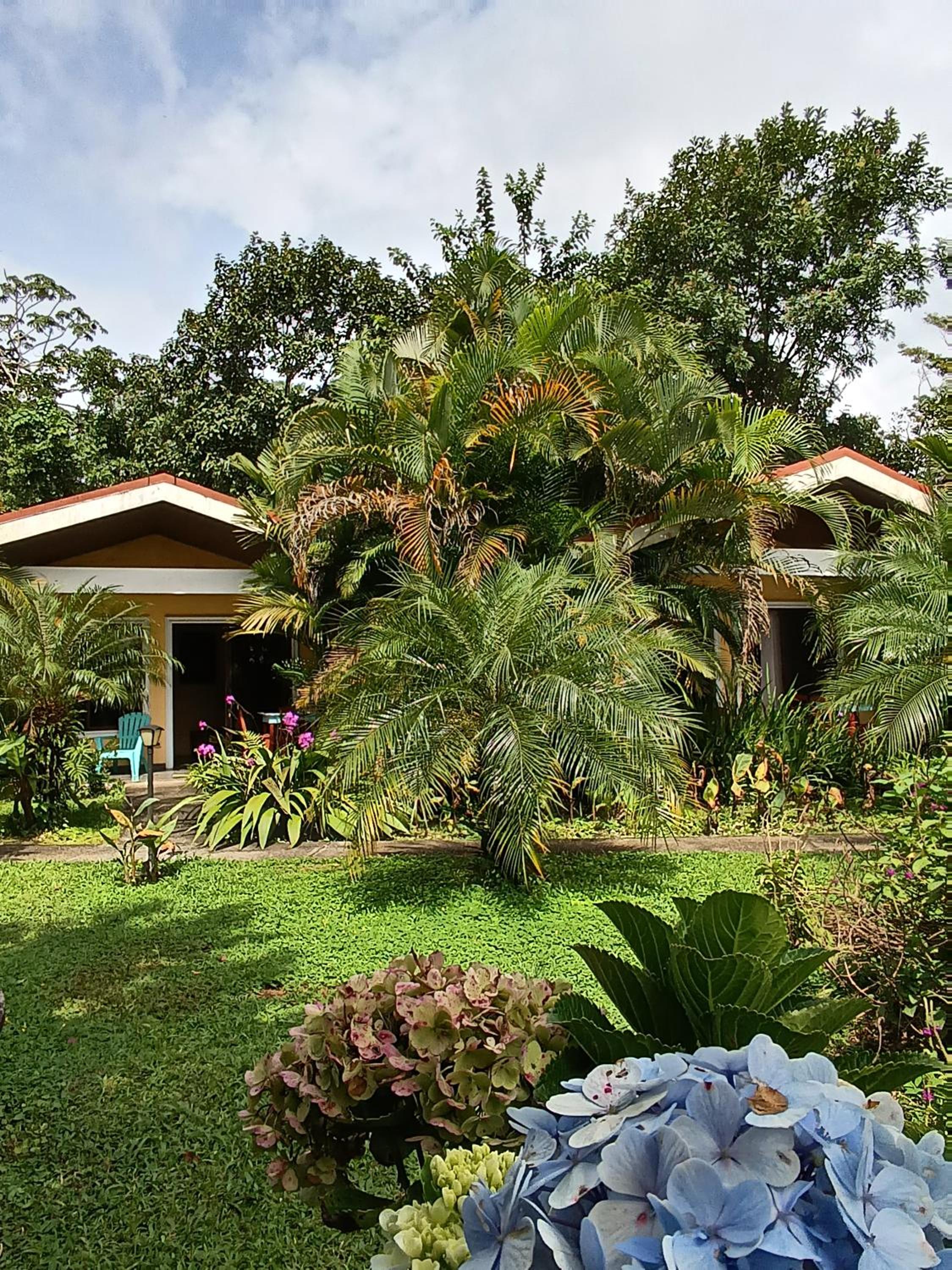 Hotel LakeGardens Arenal Condos - Image 1