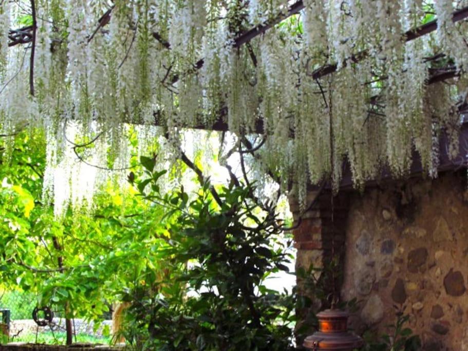 Charming barn in Mas Simon