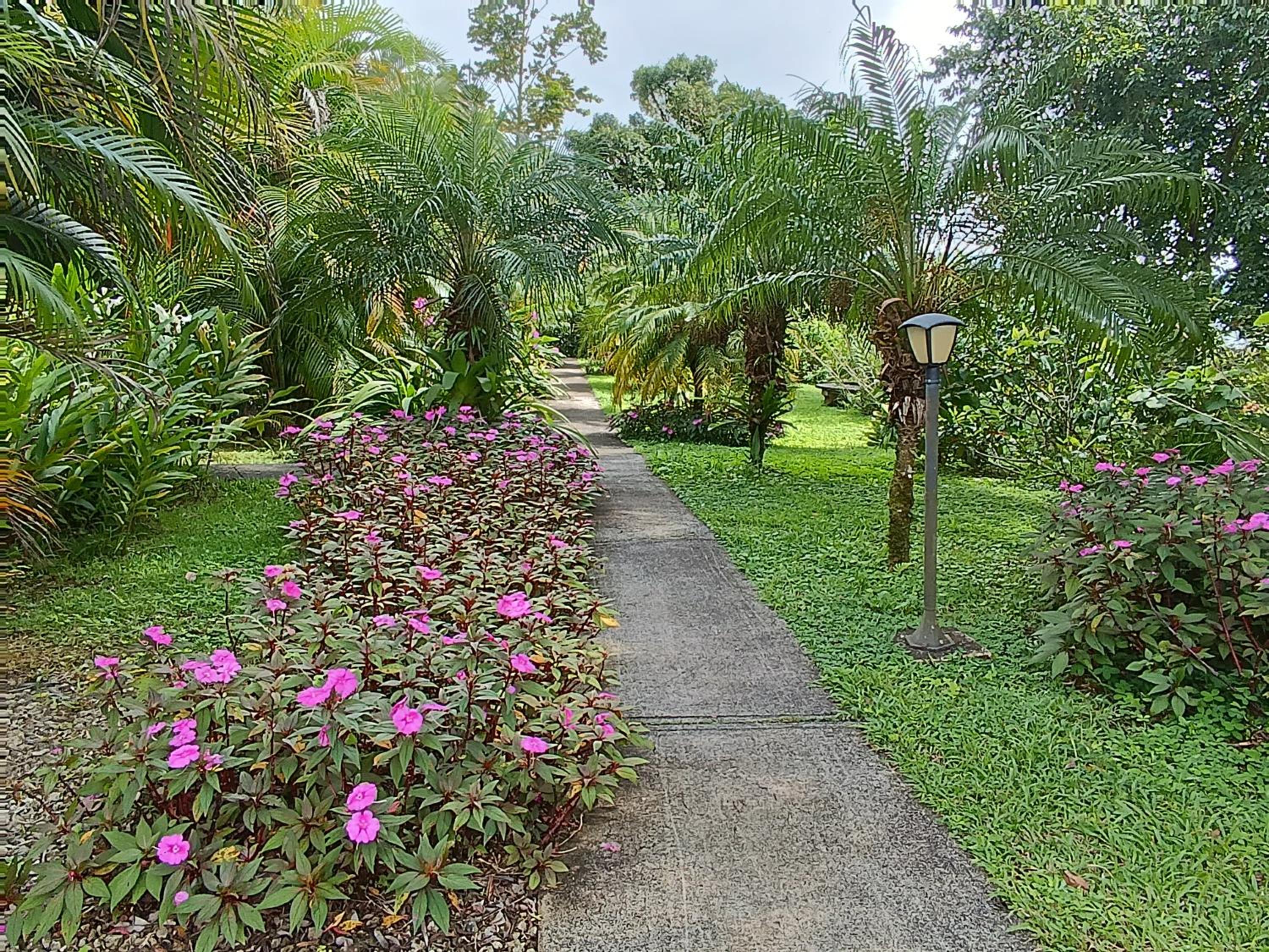 LakeGardens Arenal Condos