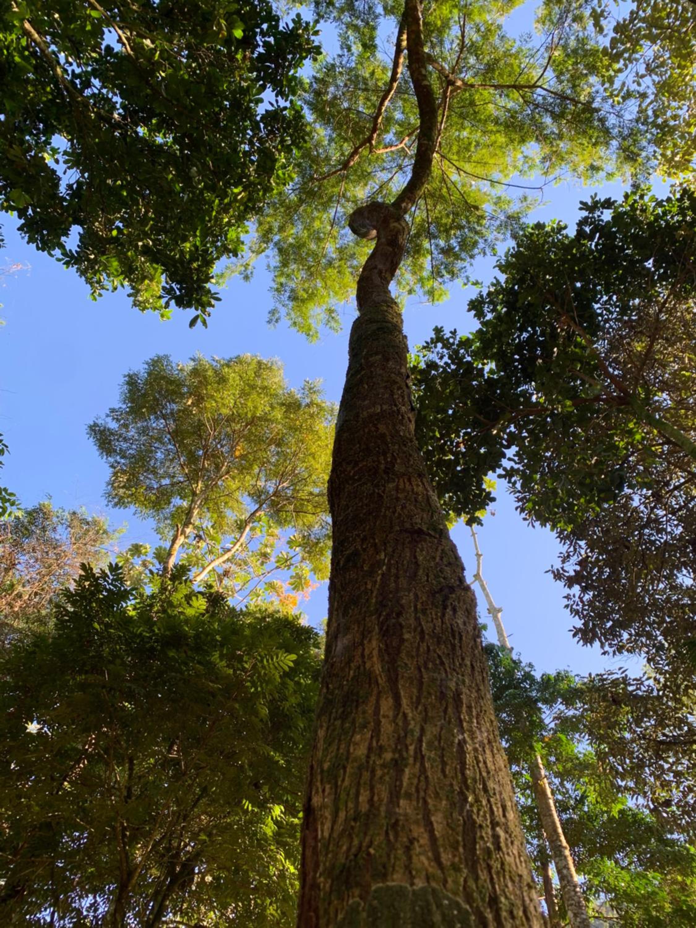 Lumiar, Chalé Soar do Riacho