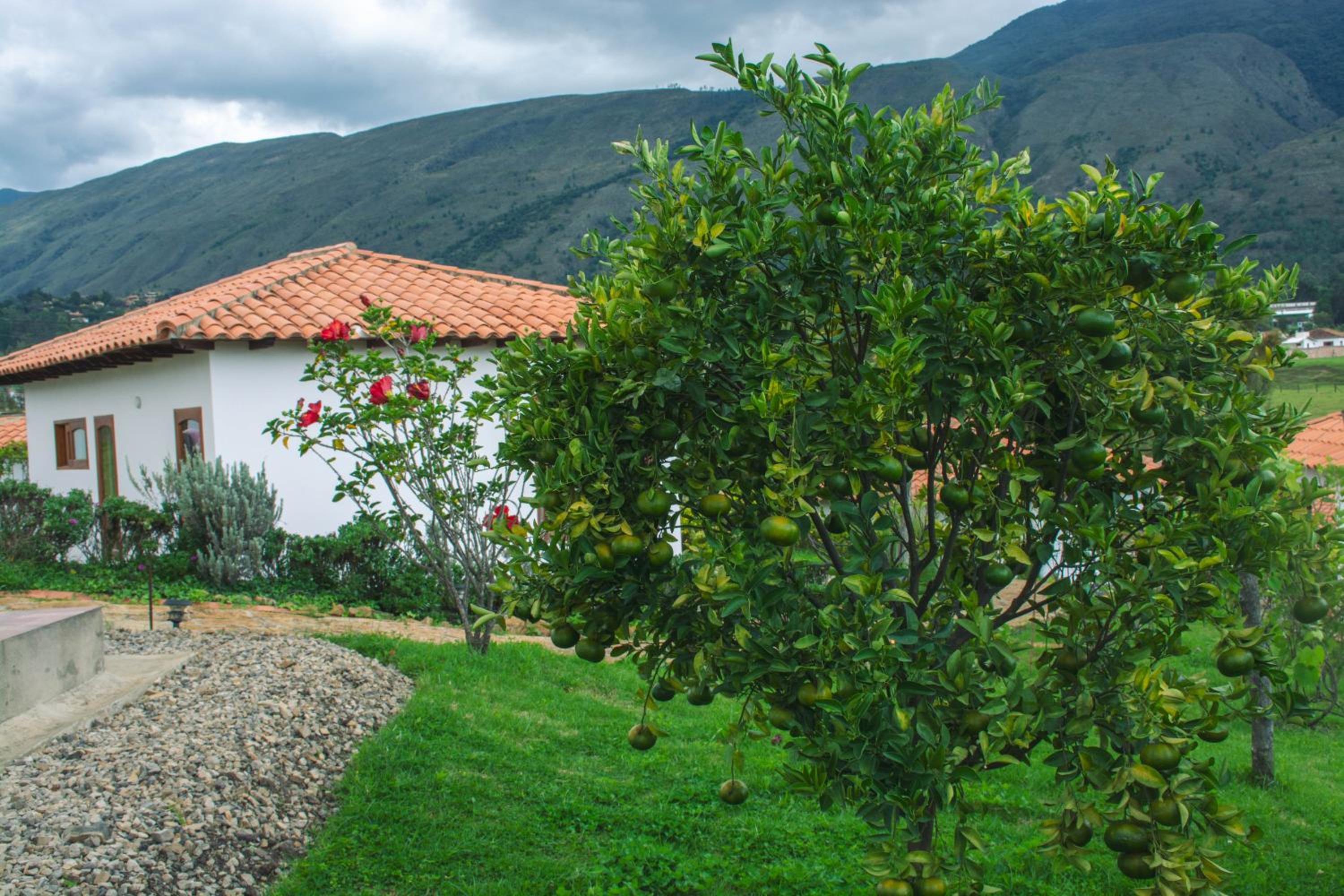 Ocarina Suites-Hotel Villa de Leyva