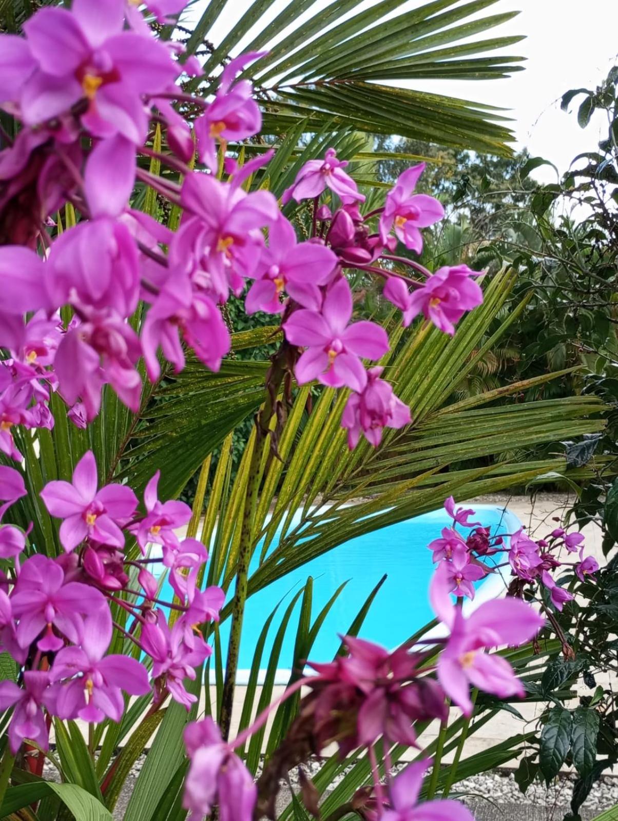LakeGardens Arenal Condos