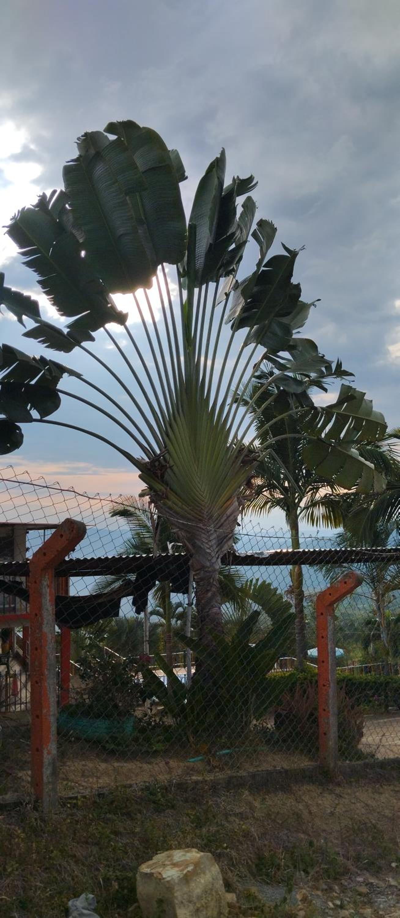 Rancho Ocampo finca