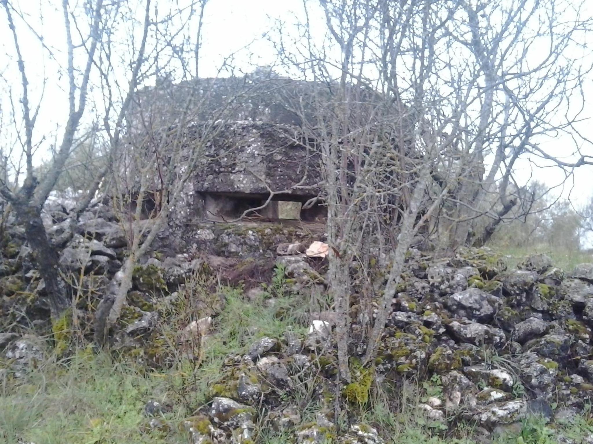 Photo 43