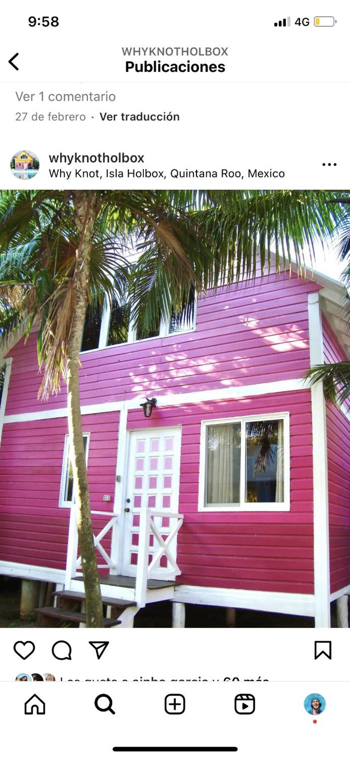 Whyknot Holbox