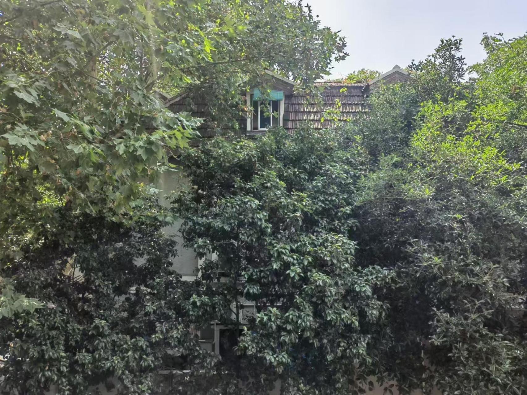 Shanghai Historical Forest Cabin loft With Balcony at second floor near middle Huaihai road