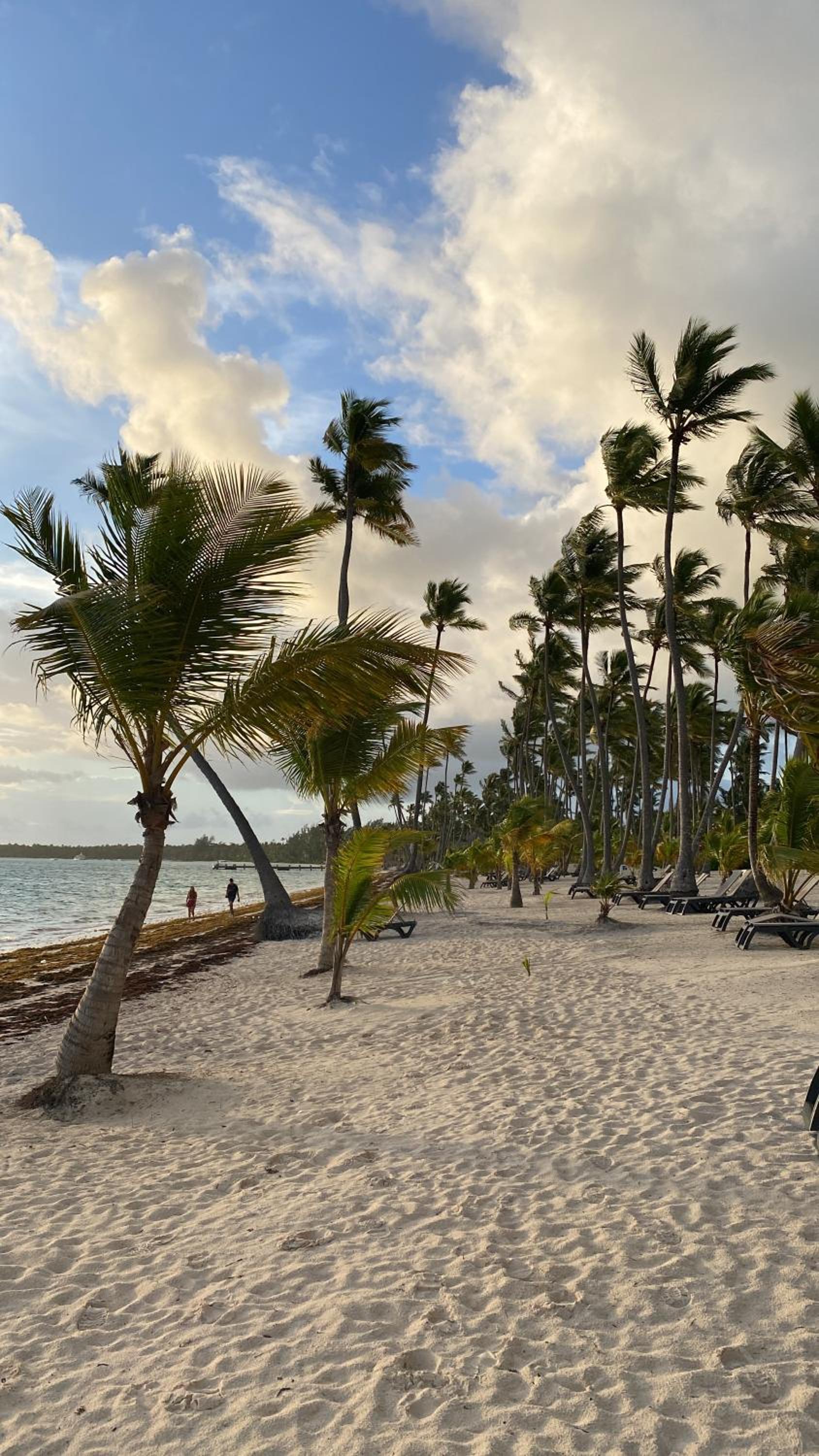 Beautiful Place in los Corales bavaro