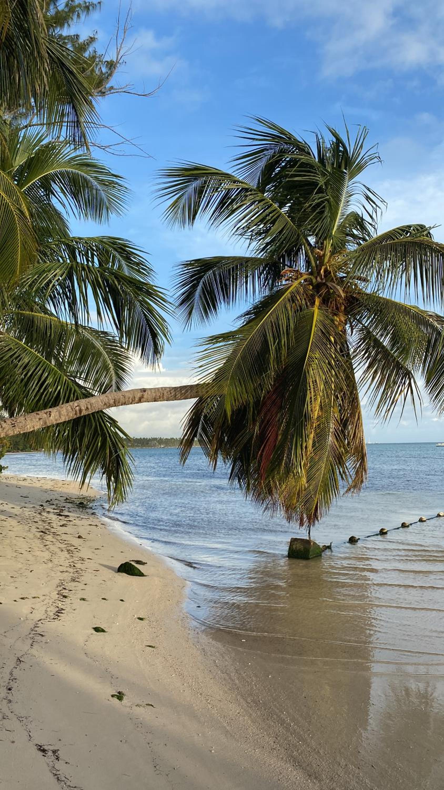 Beautiful Place in los Corales bavaro