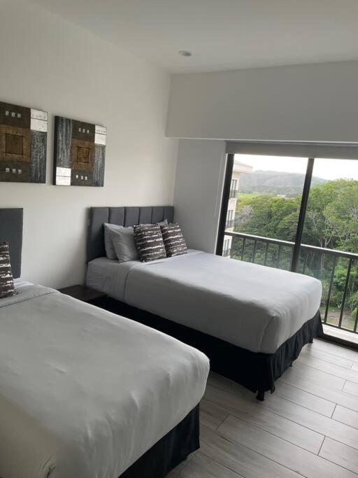 Spacious and Modern Penthouse Condo