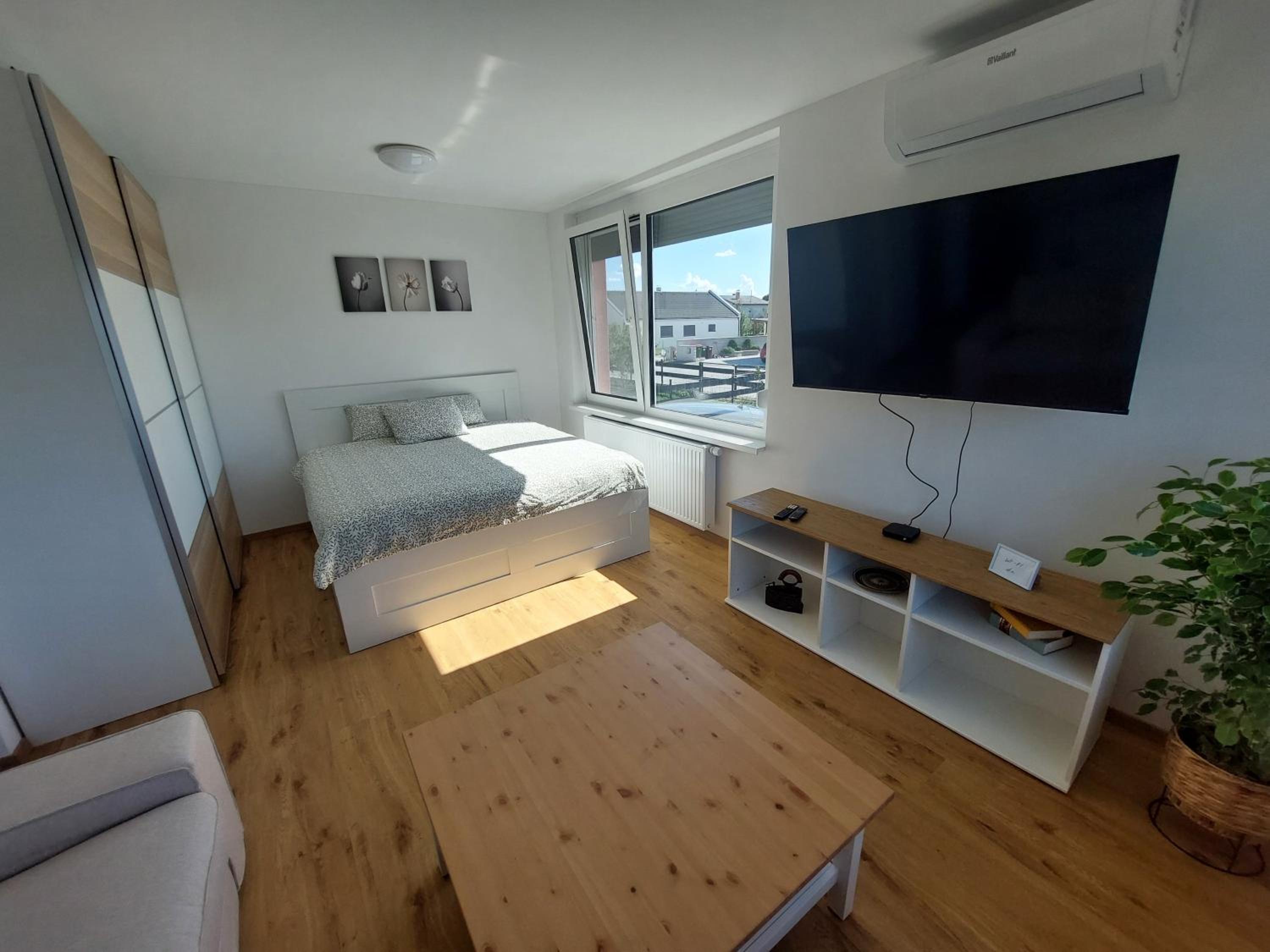 3 JABLANE apartmaji view 3
