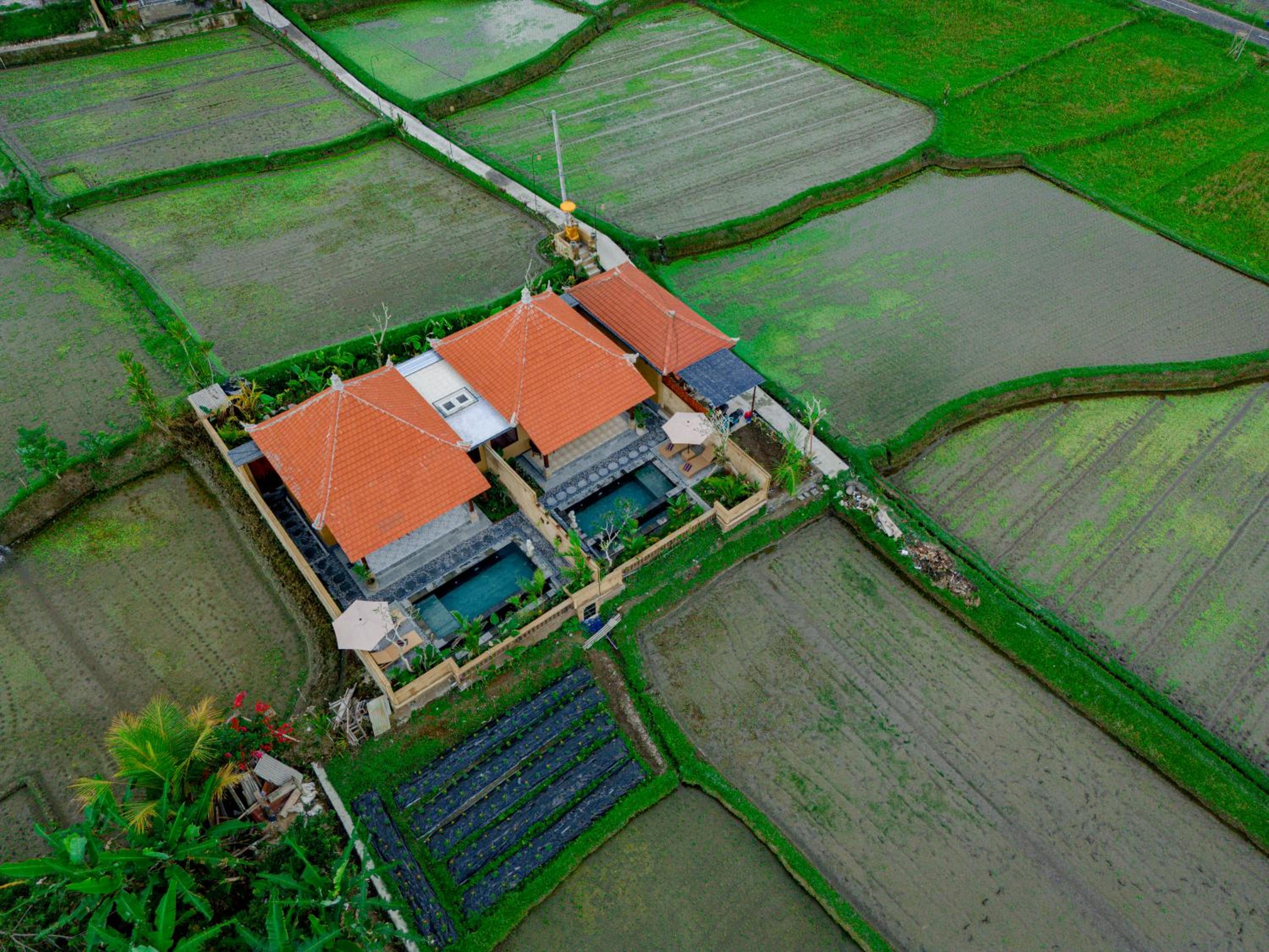 Umesari Villa Sebatu by Dhananjaya Hospitality view 5