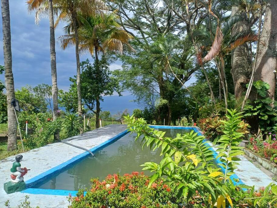 Finca El Mirador - Agroturismo