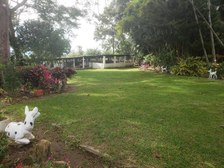 Finca El Mirador - Agroturismo