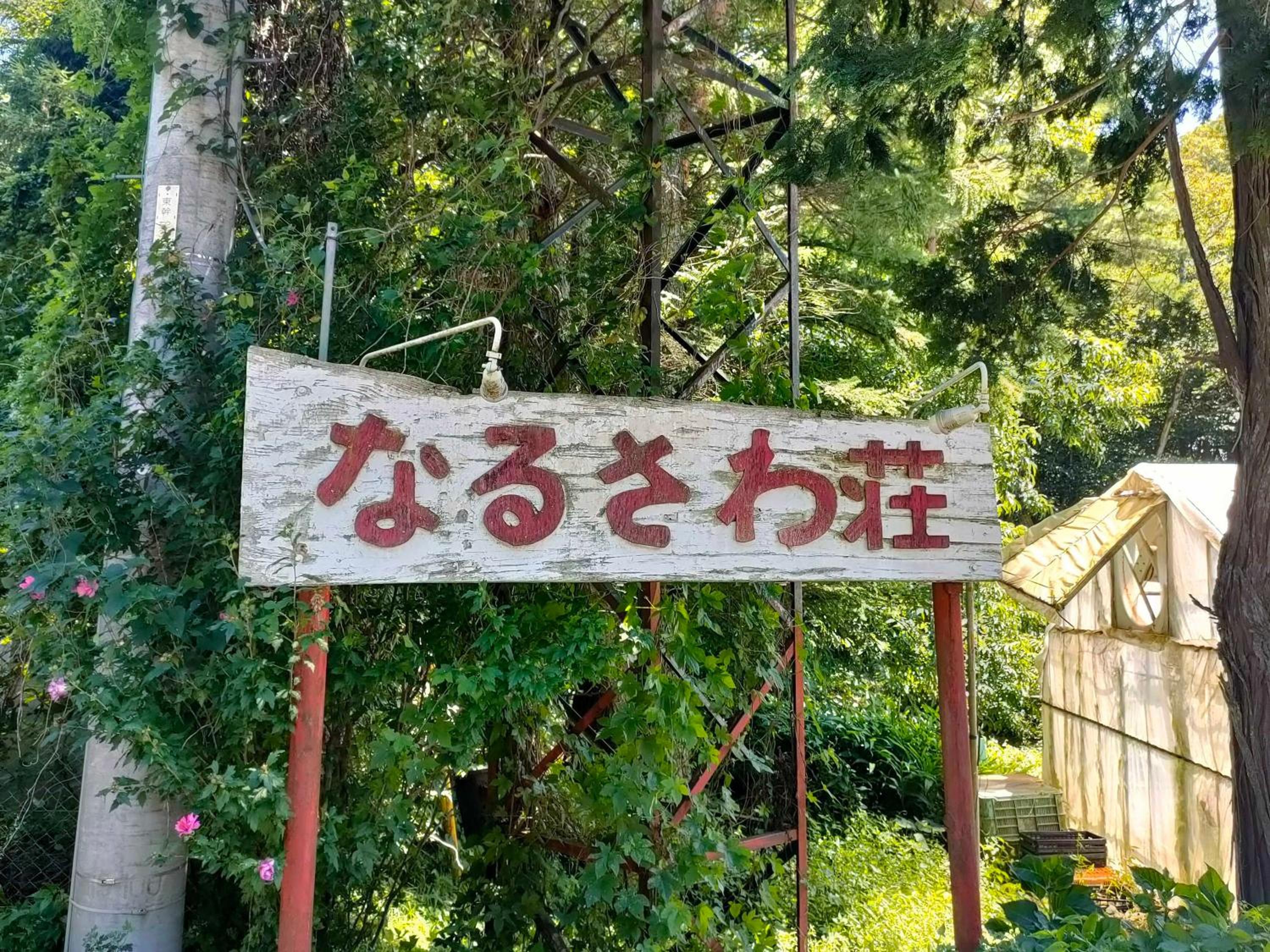 Narusawaso