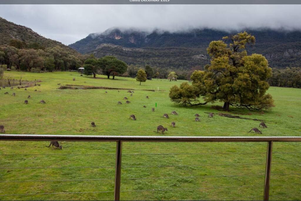 Kodama Halls Gap Townhouse