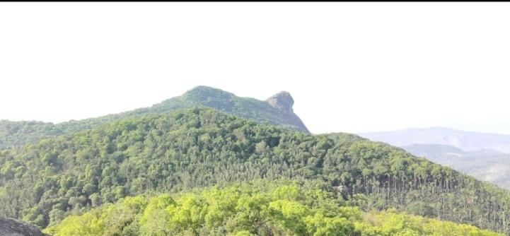 Rock peak view homestay view 3