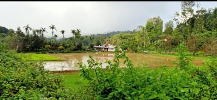 Rock peak view homestay view 4