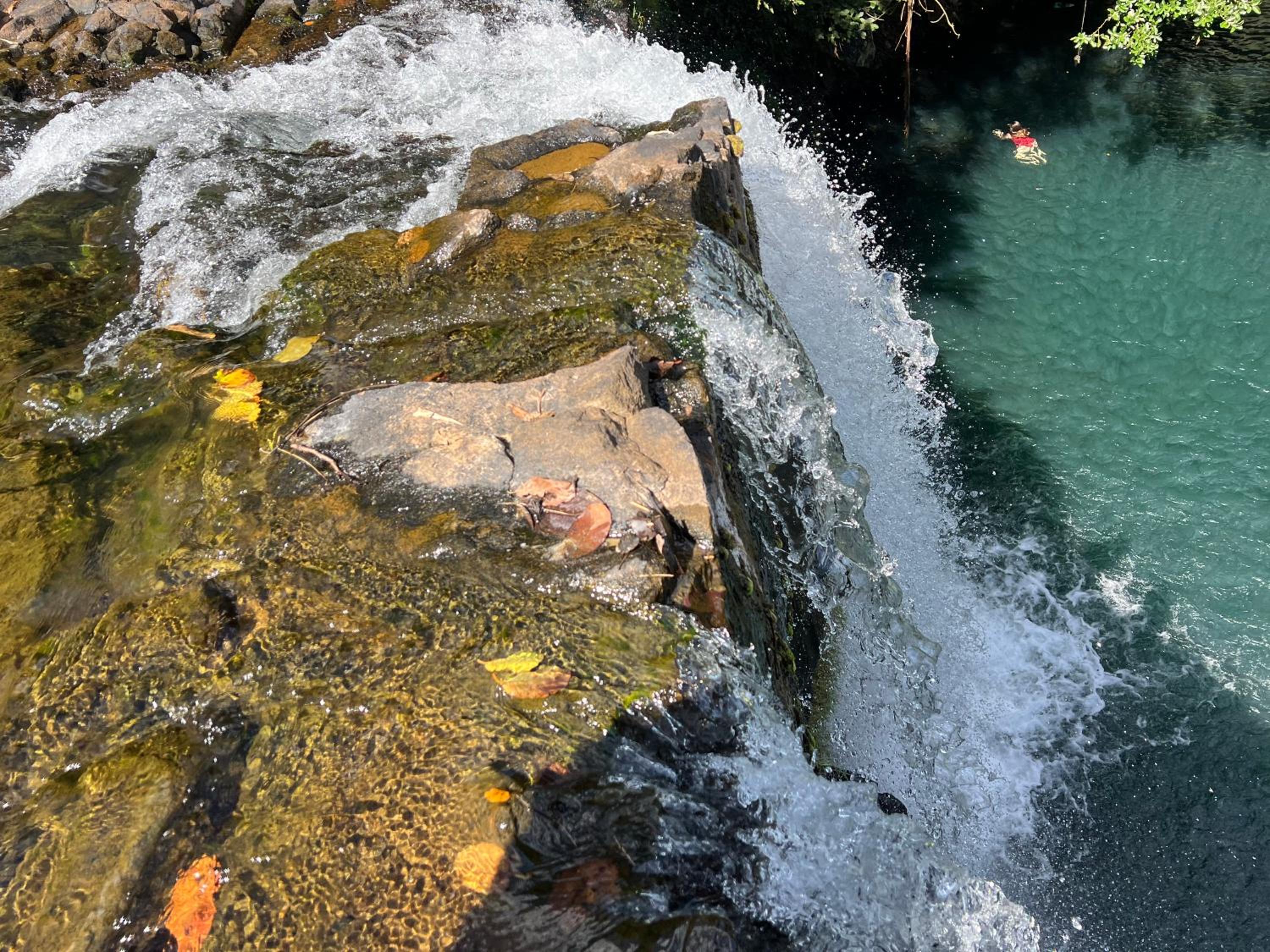 Photo 89