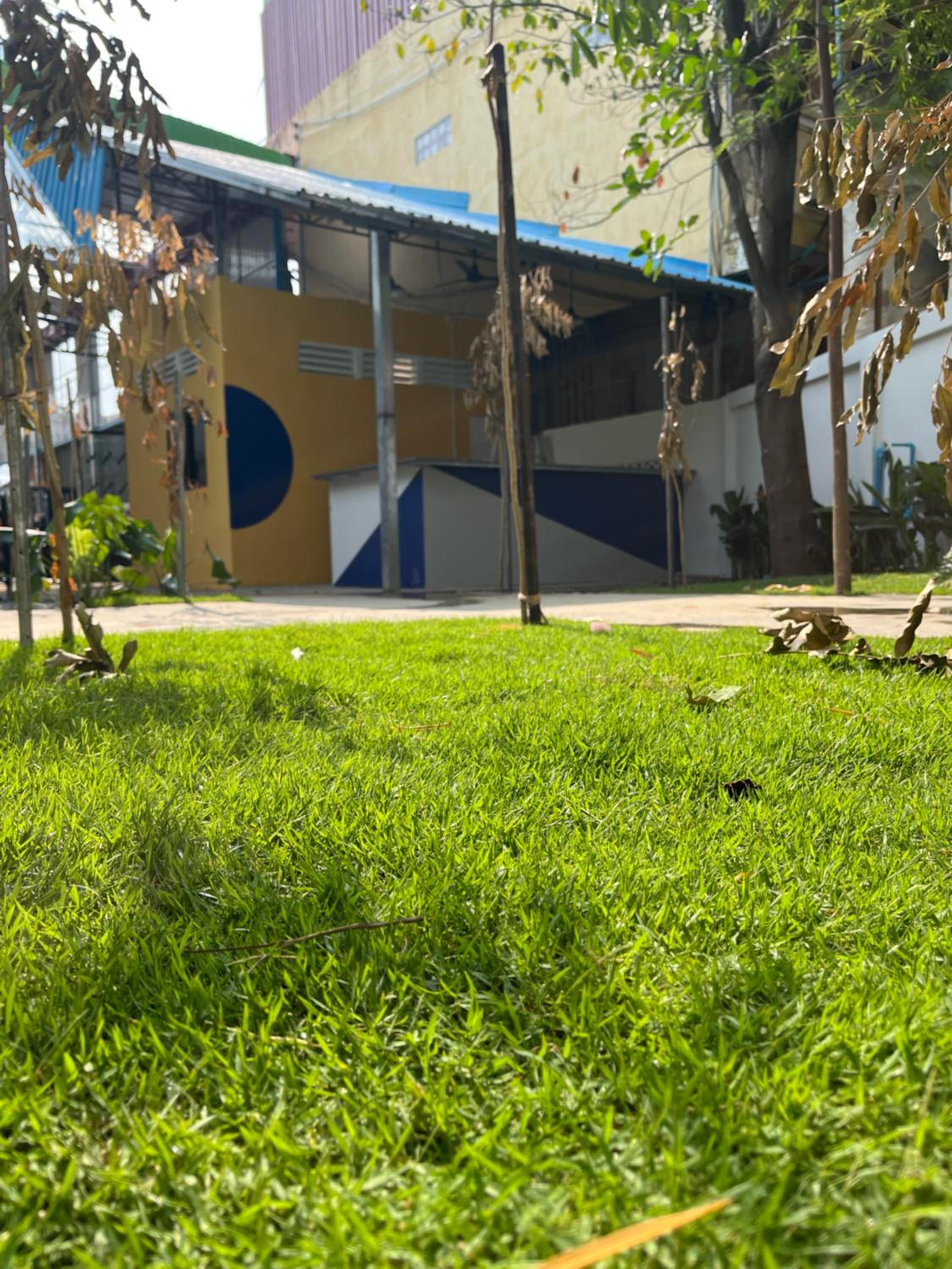 Photo 11