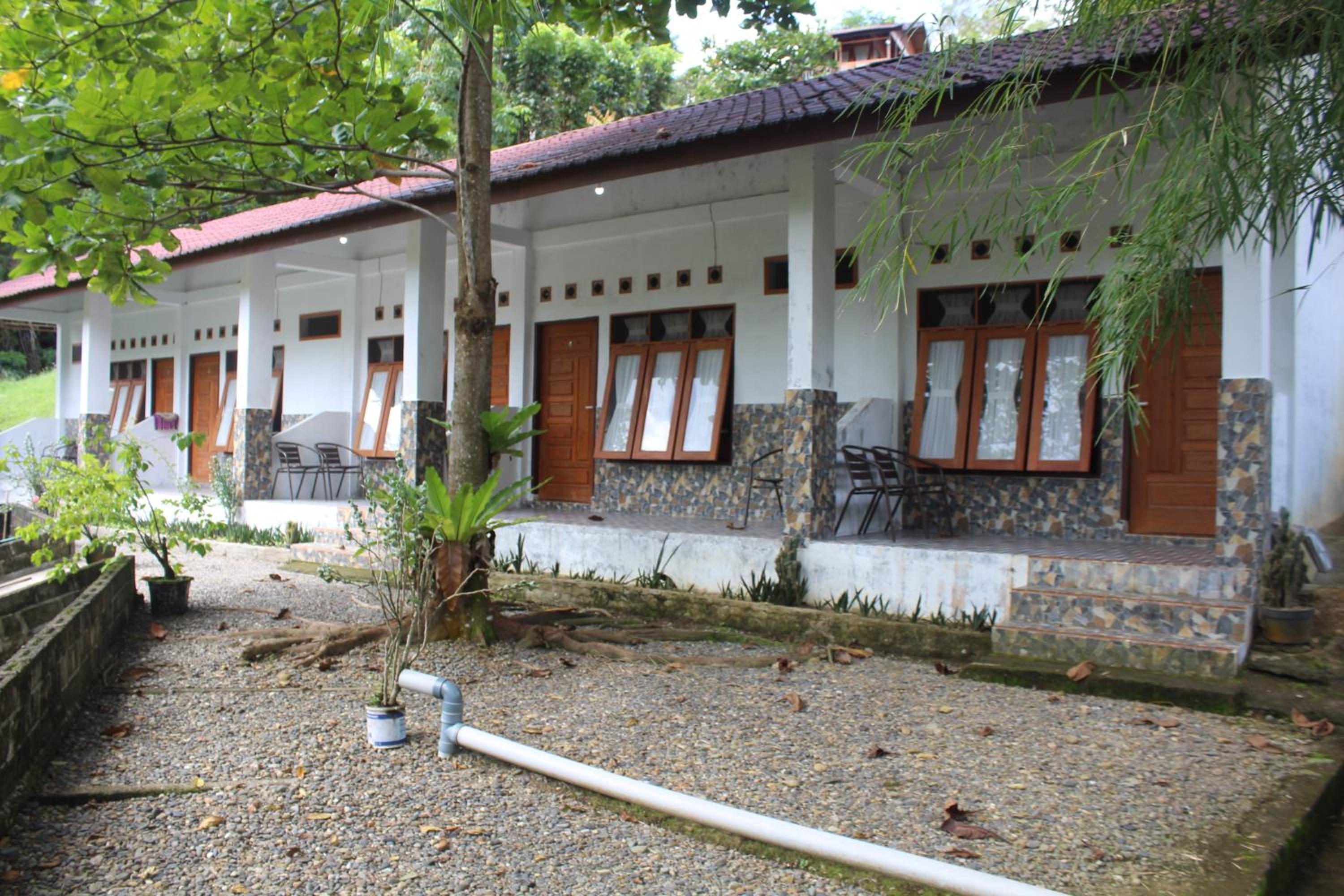 Photo 40