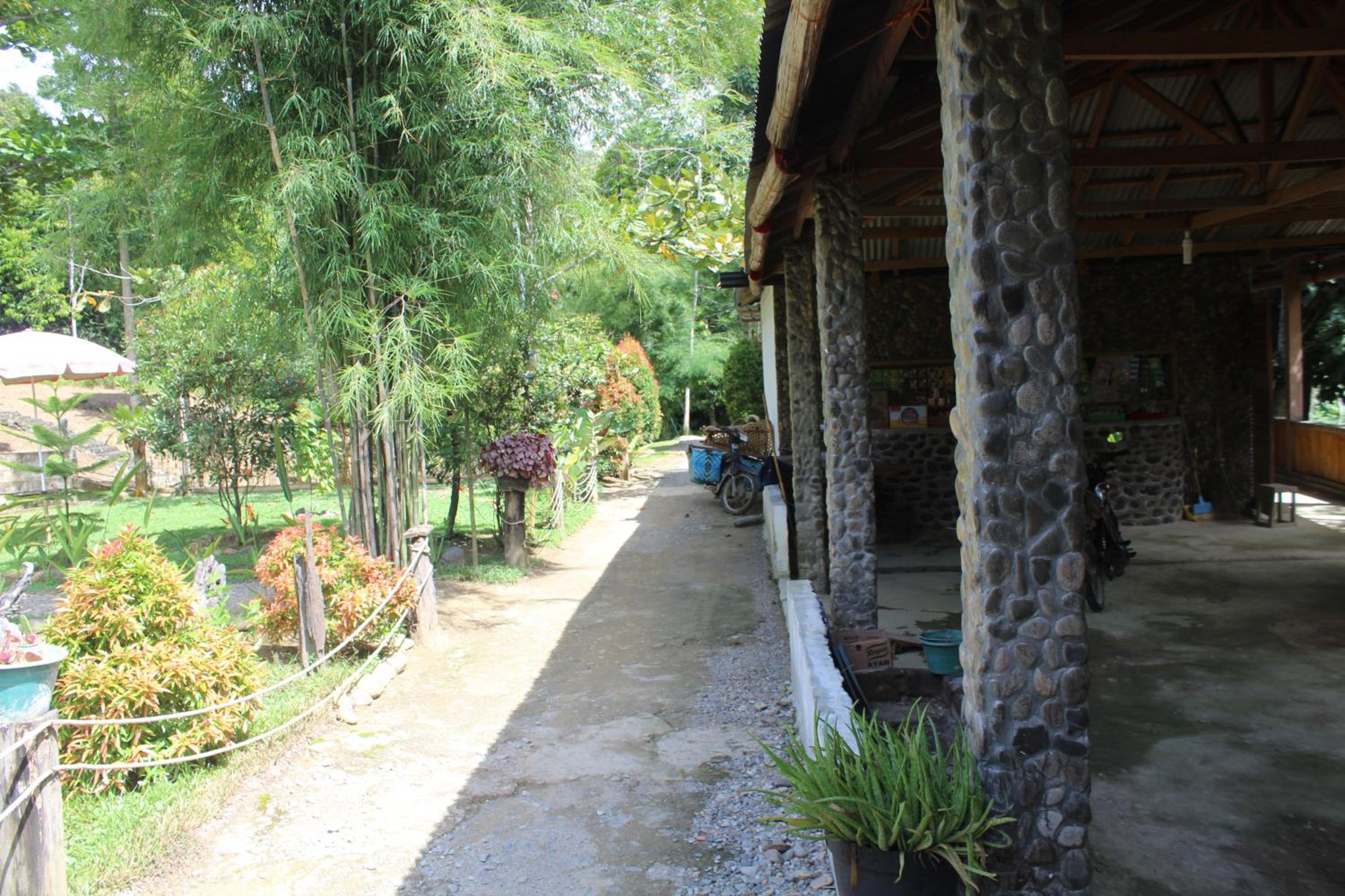 Green View Guest House only treking with US view 3