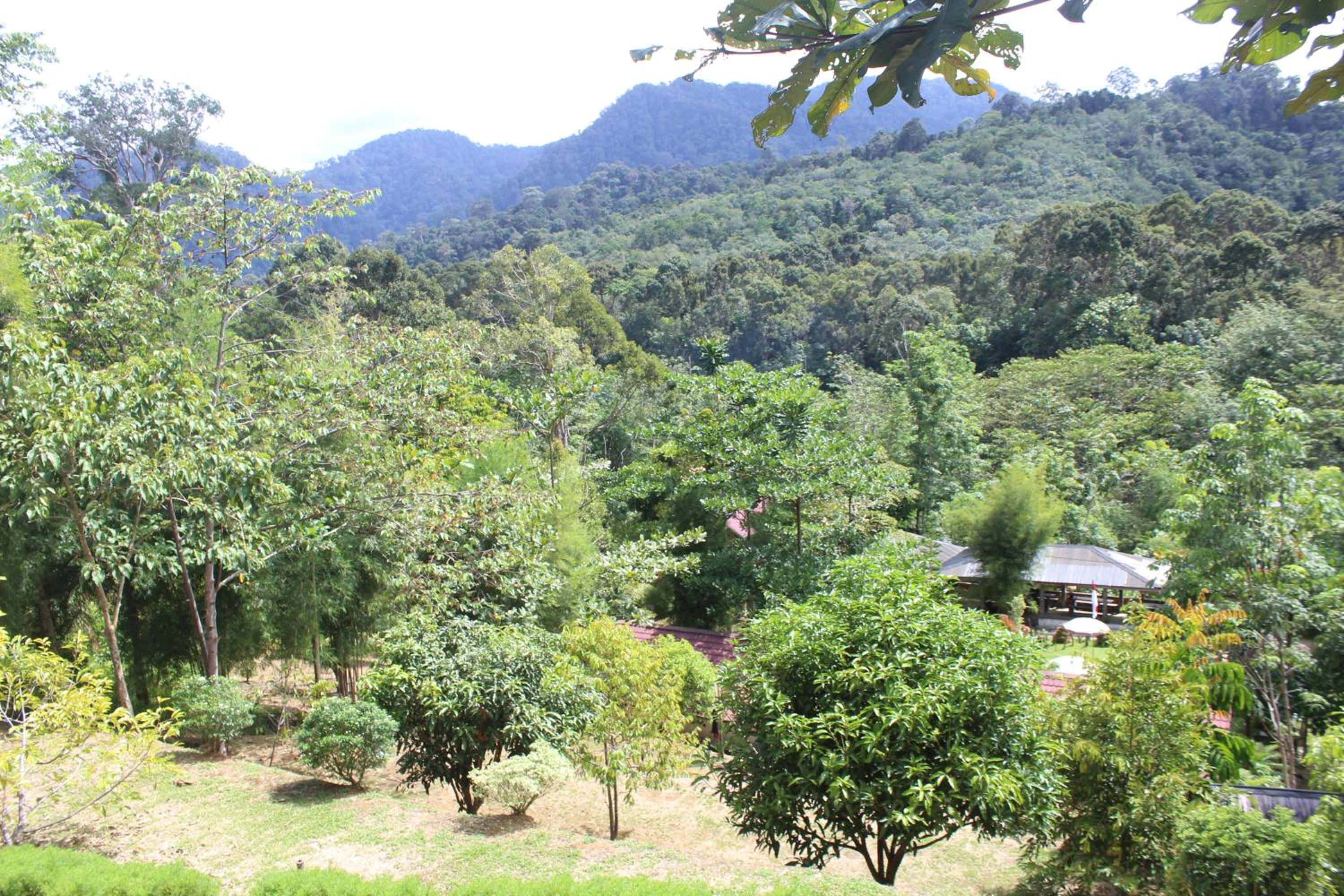 Green View Guest House only treking with US view 5