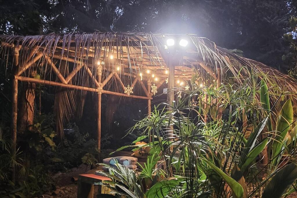 Manuel Antonio Beach VON HOUSE