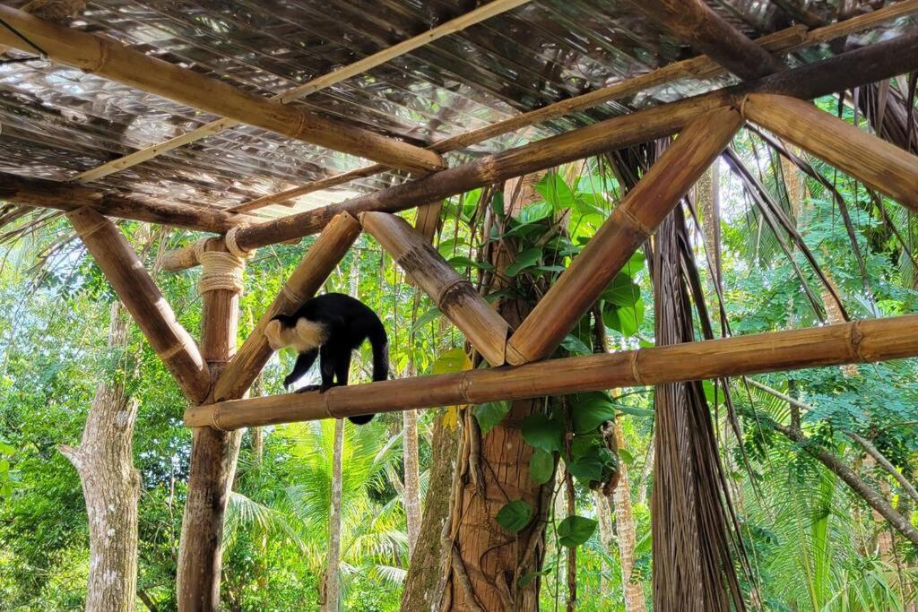 Manuel Antonio Beach VON HOUSE