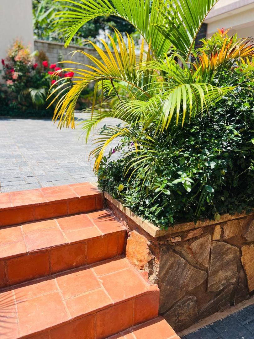 Alsander Homes Peach