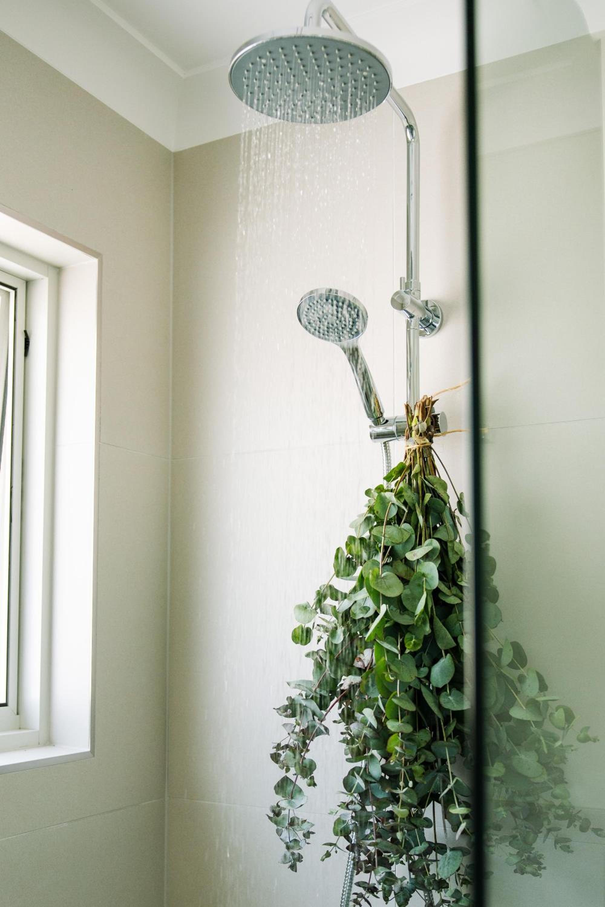 House of Banksia