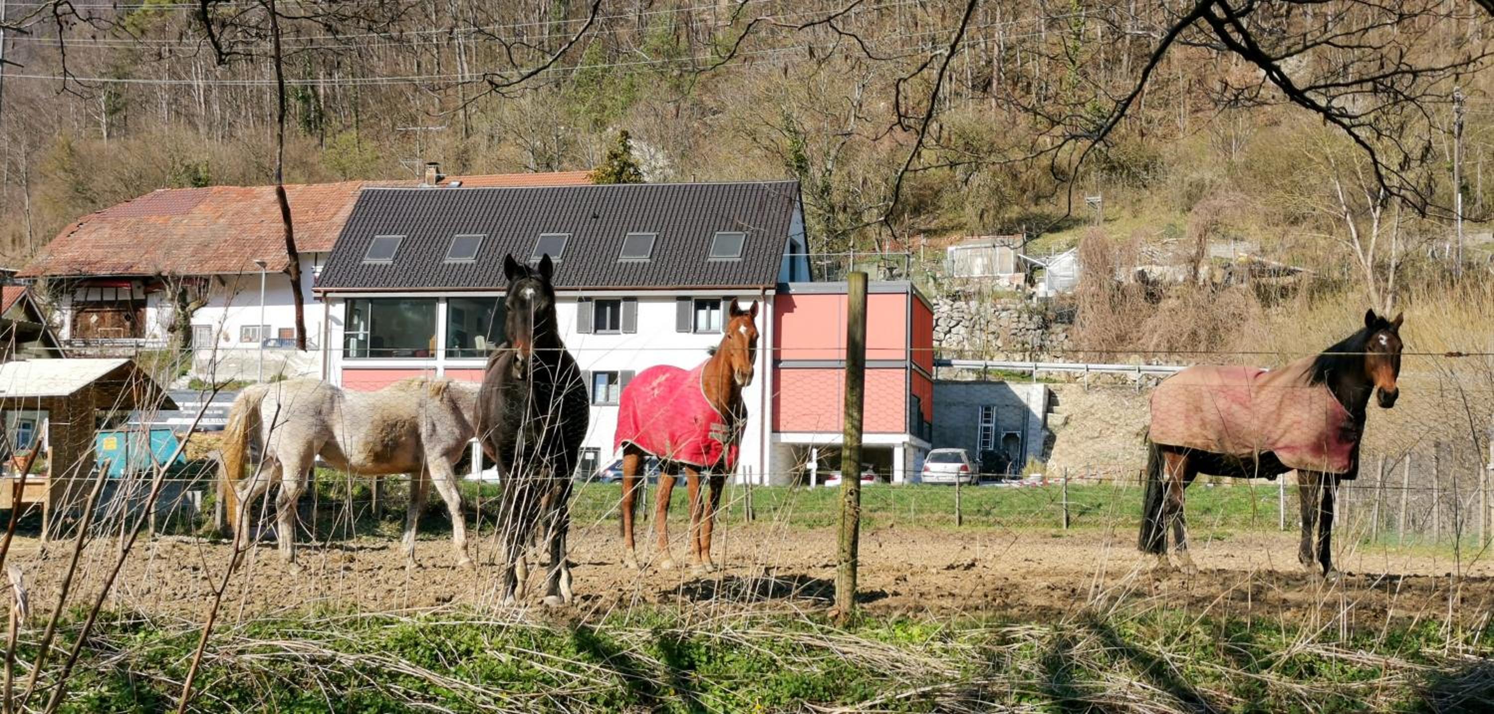 Exklusive Wohnung mit 2 Schlafzimmern für 4 Personen nur 30 Minuten von Zürich entfernt